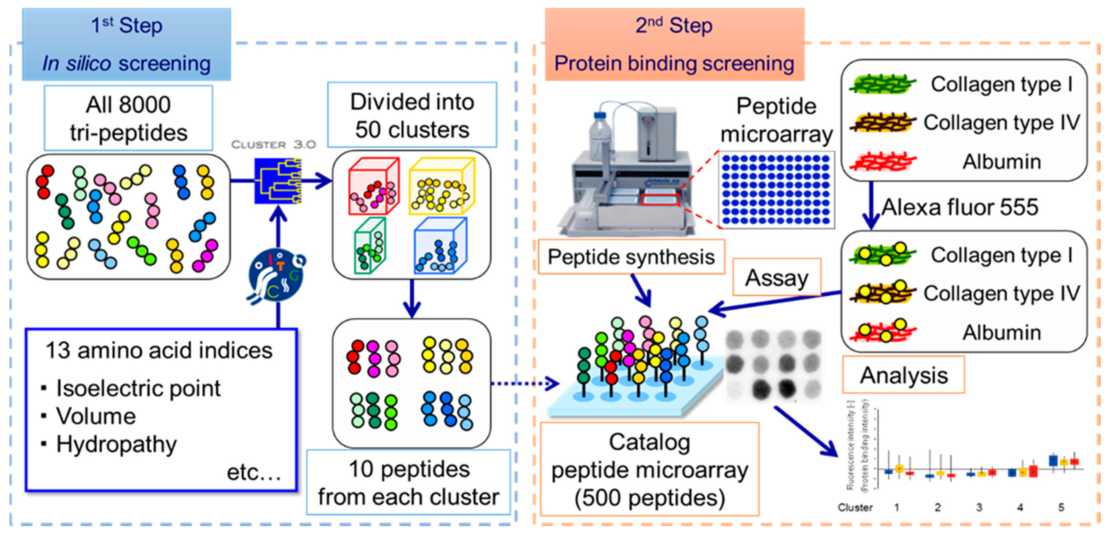 Bioengineering 03 00031 g001