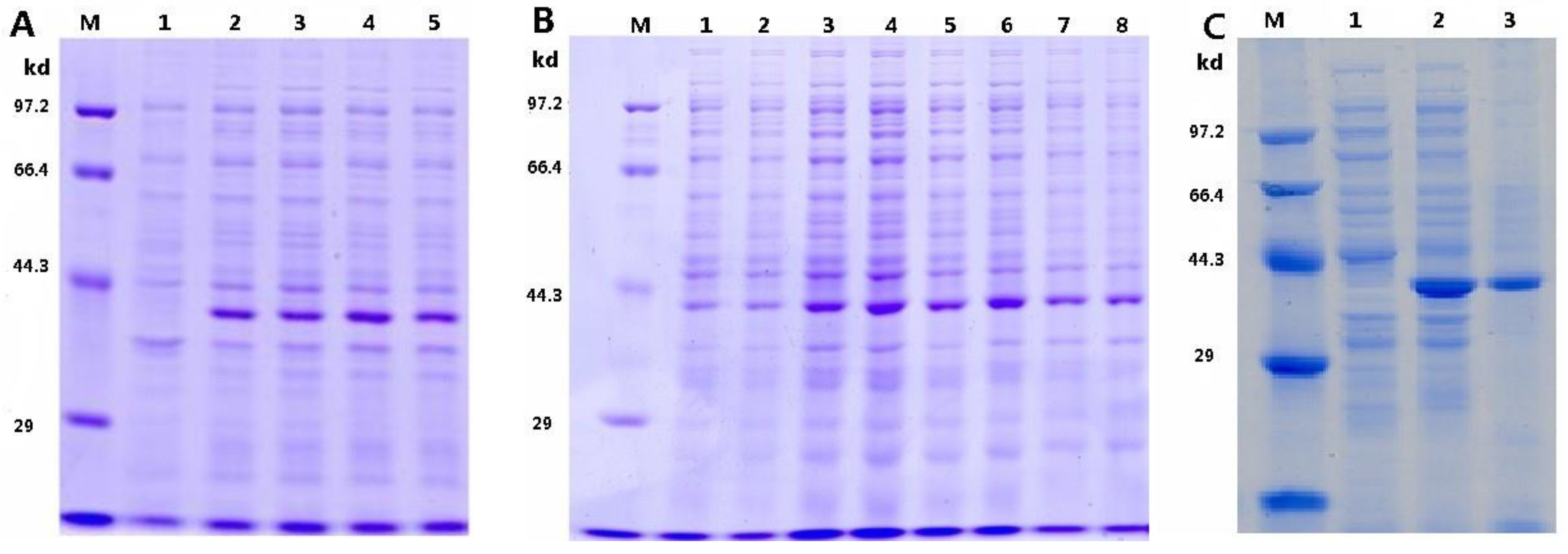 Bioengineering 04 00006 g002