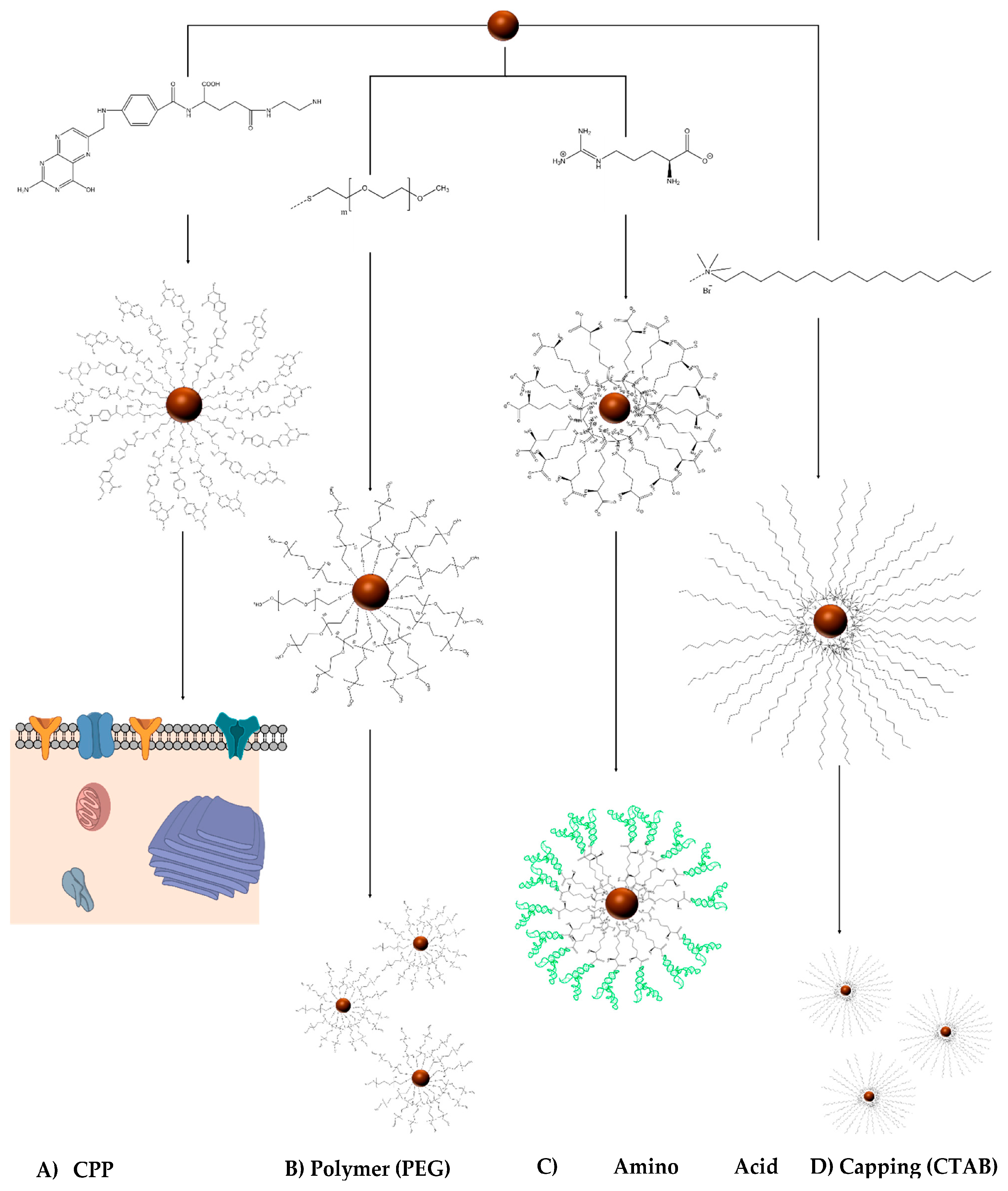 Bioengineering 04 00013 g003