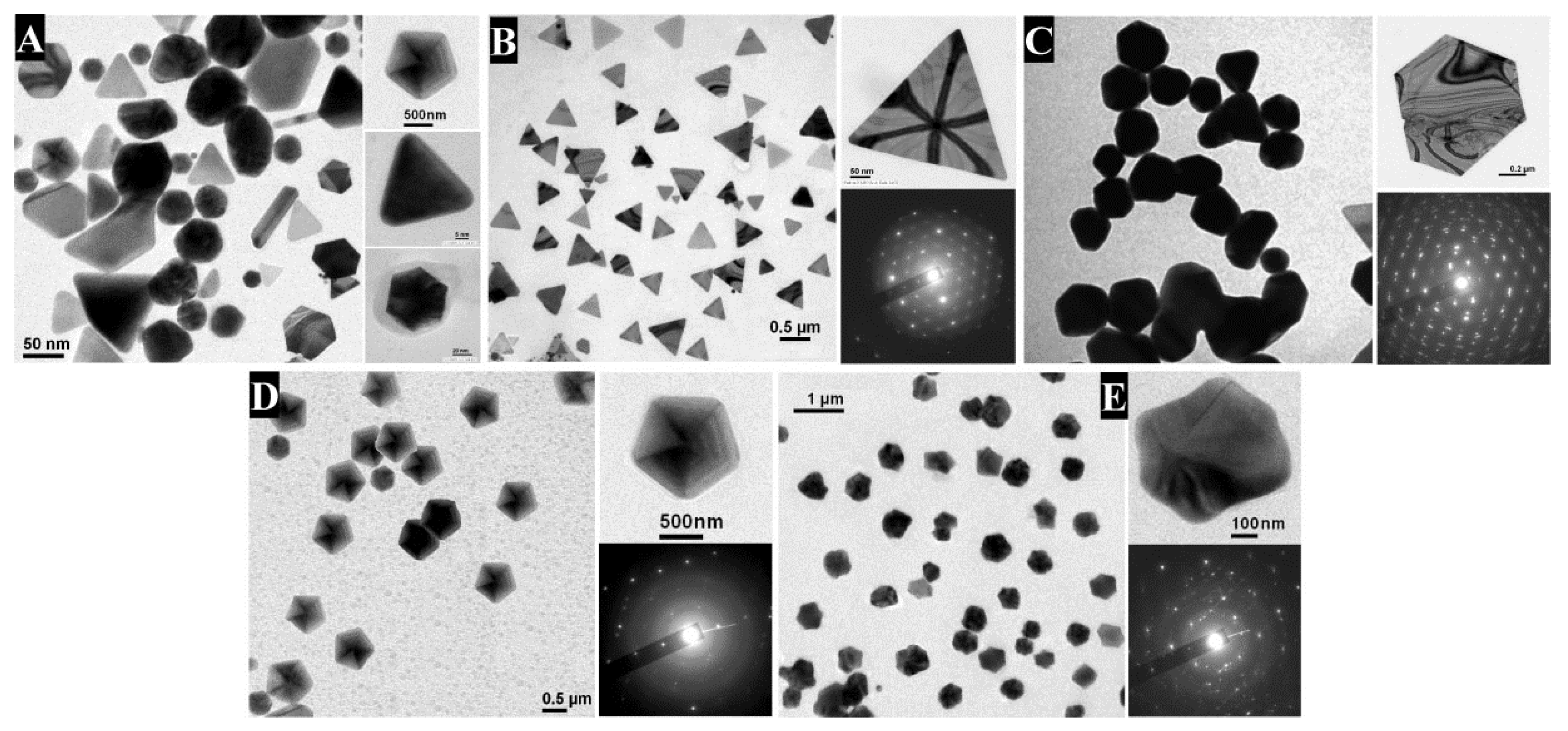 Bioengineering 04 00014 g001