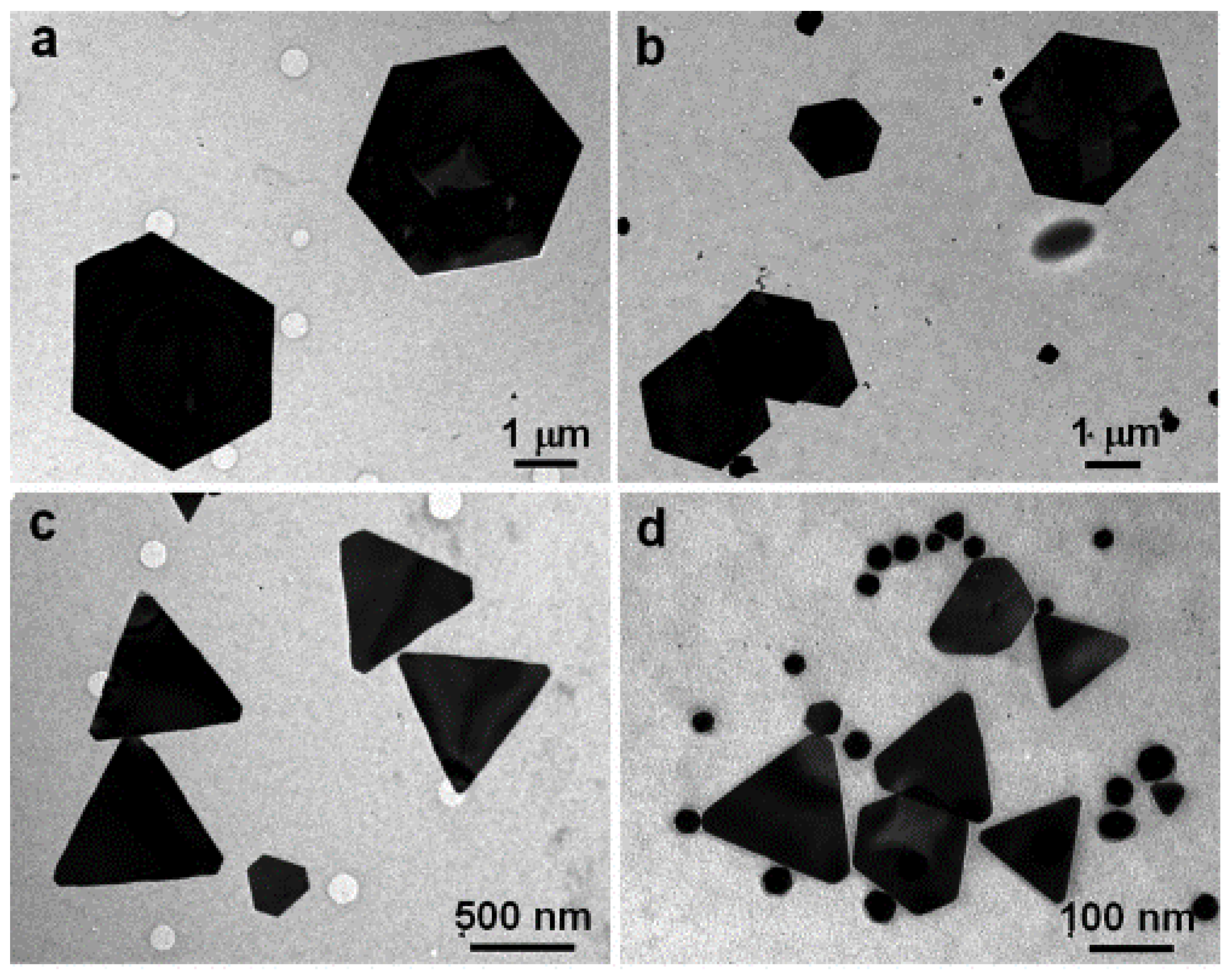 Bioengineering 04 00014 g002