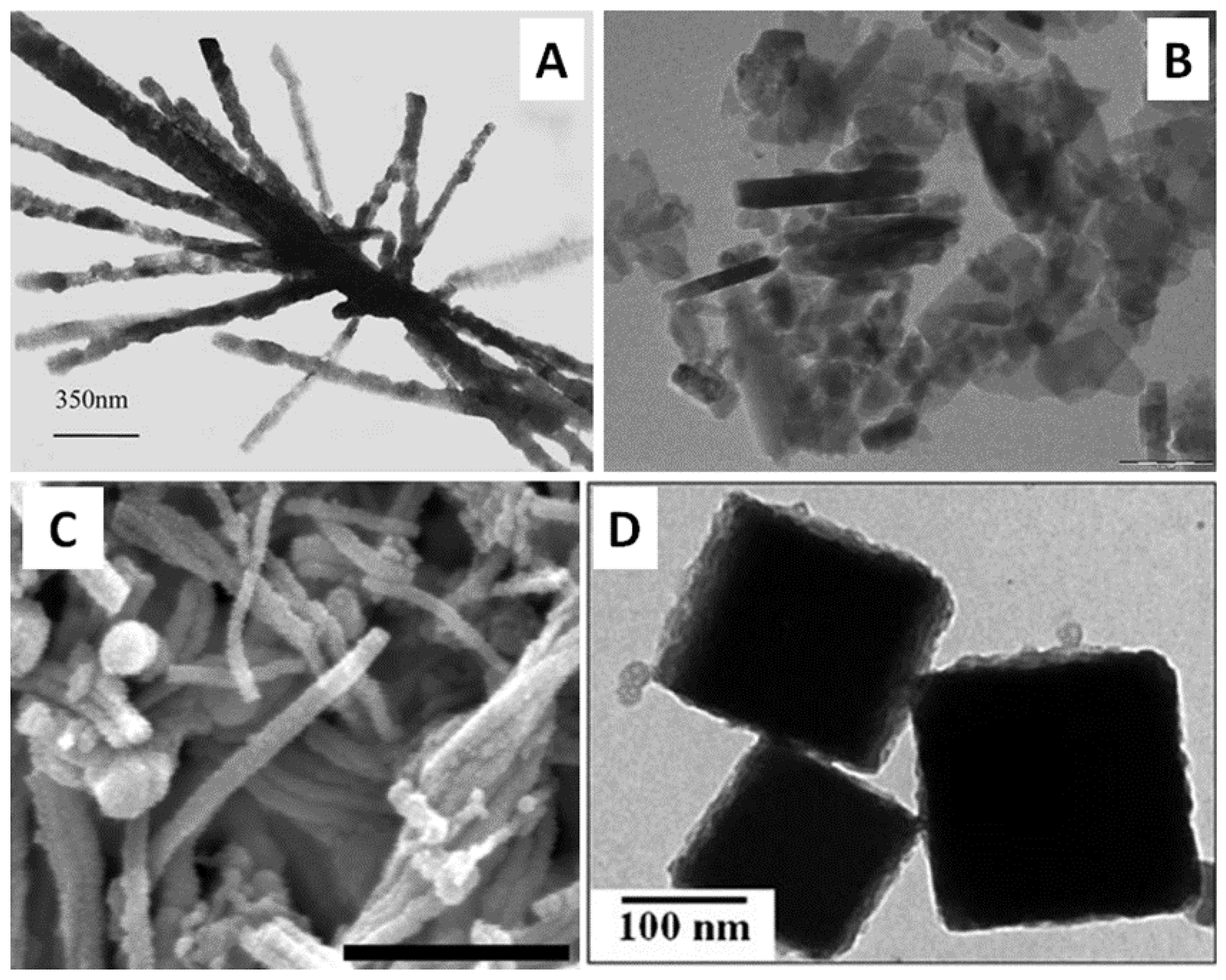 Bioengineering 04 00014 g005