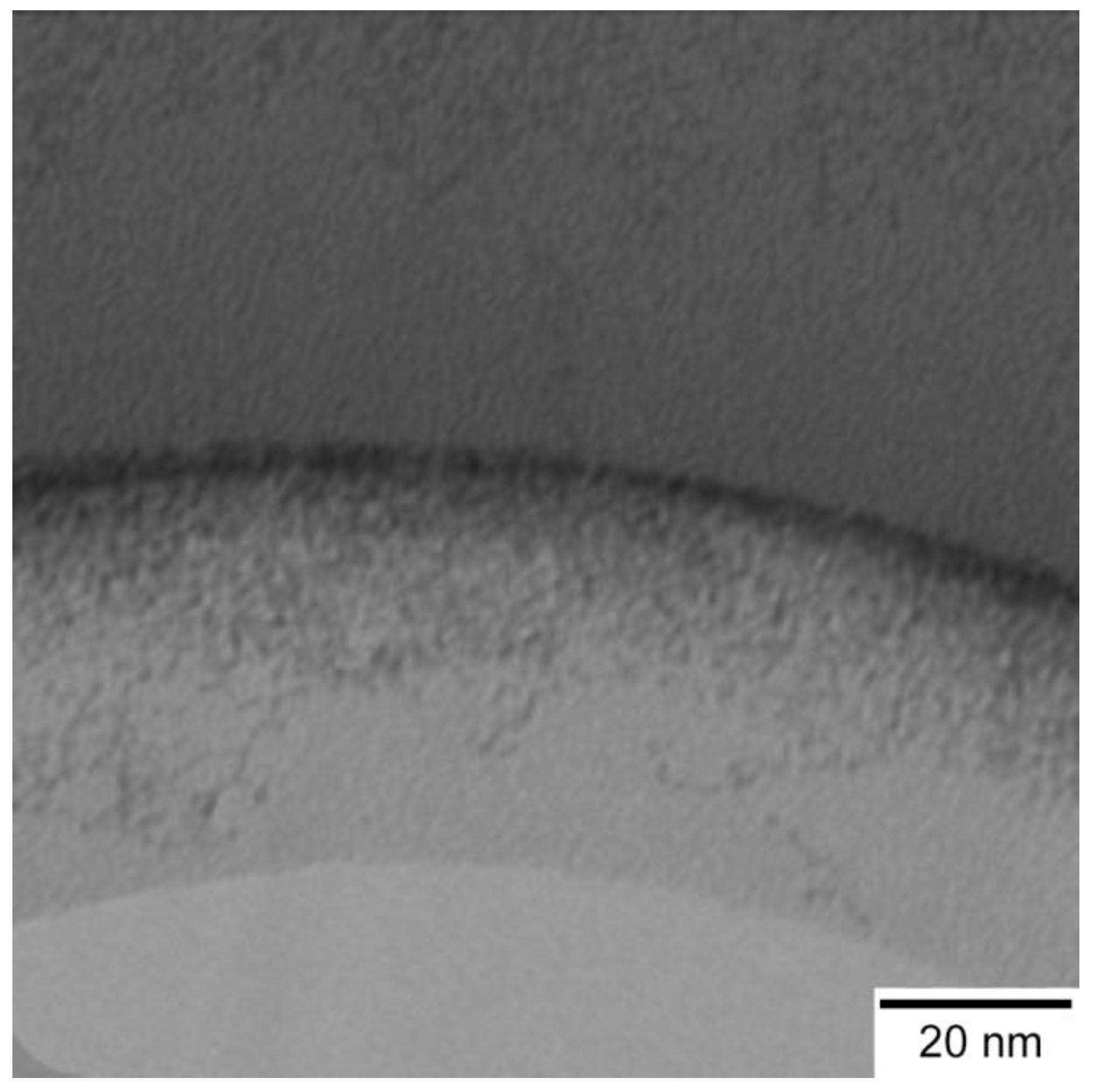 Bioengineering 04 00018 g001