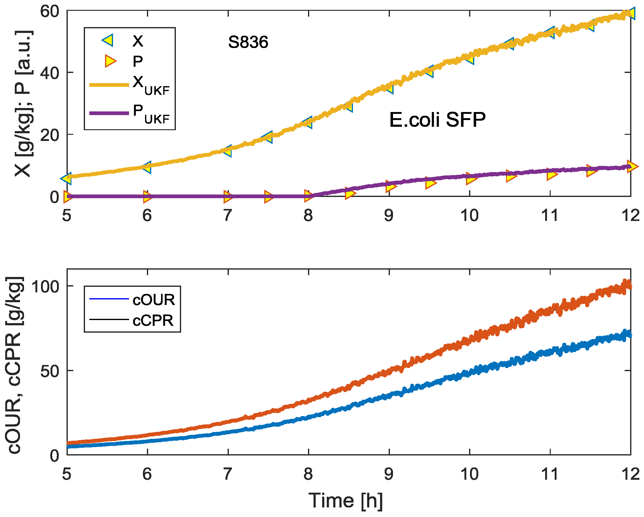Bioengineering 04 00021 g004