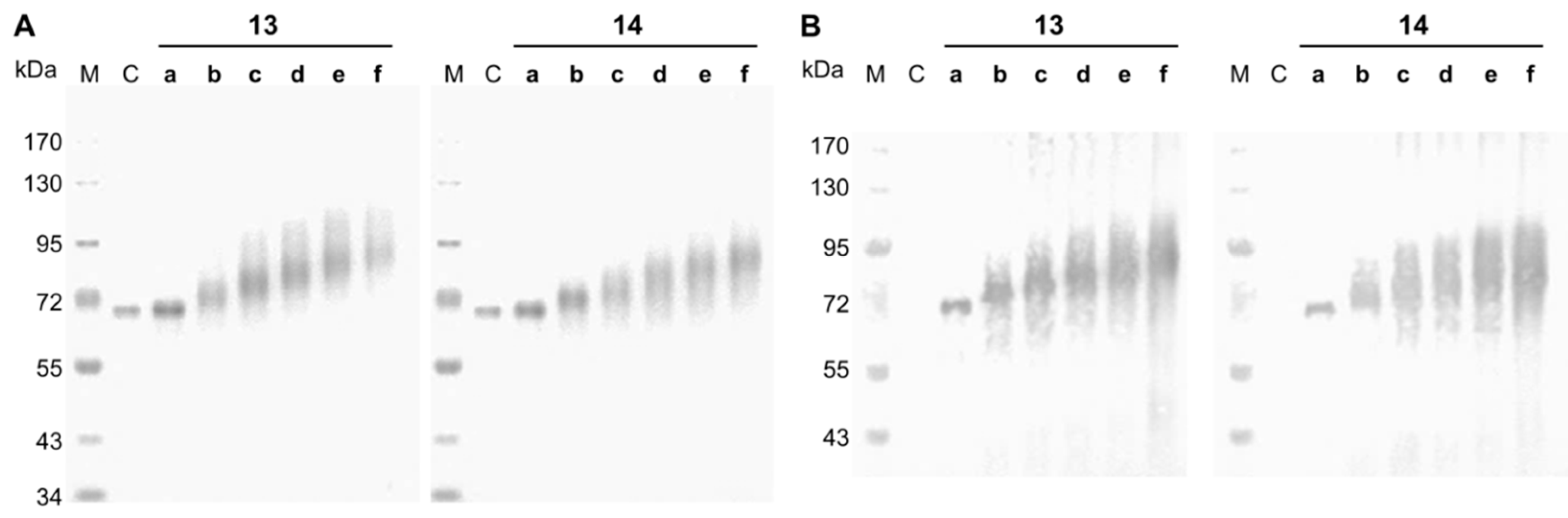 Bioengineering 04 00031 g001