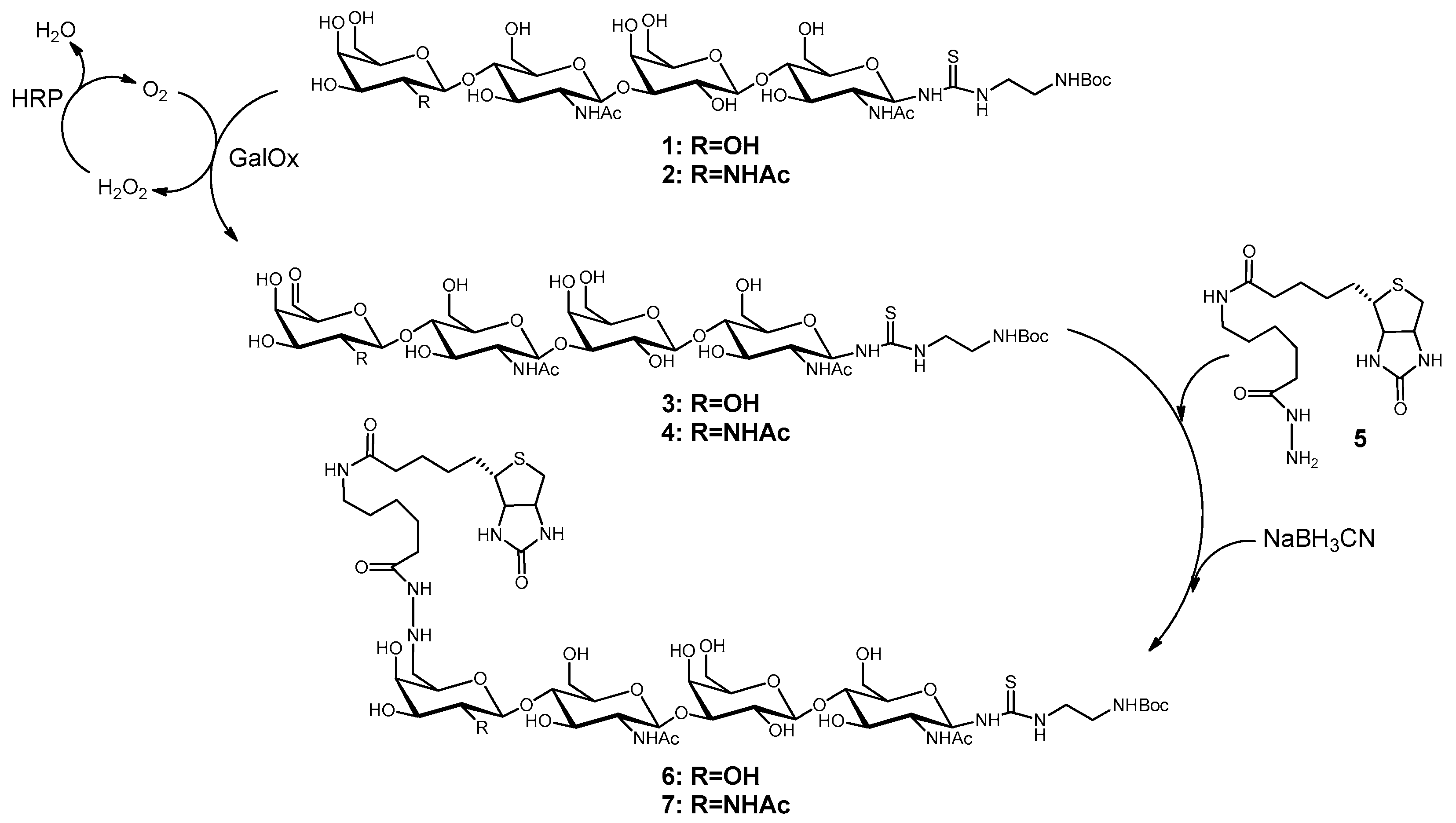 Bioengineering 04 00031 sch001