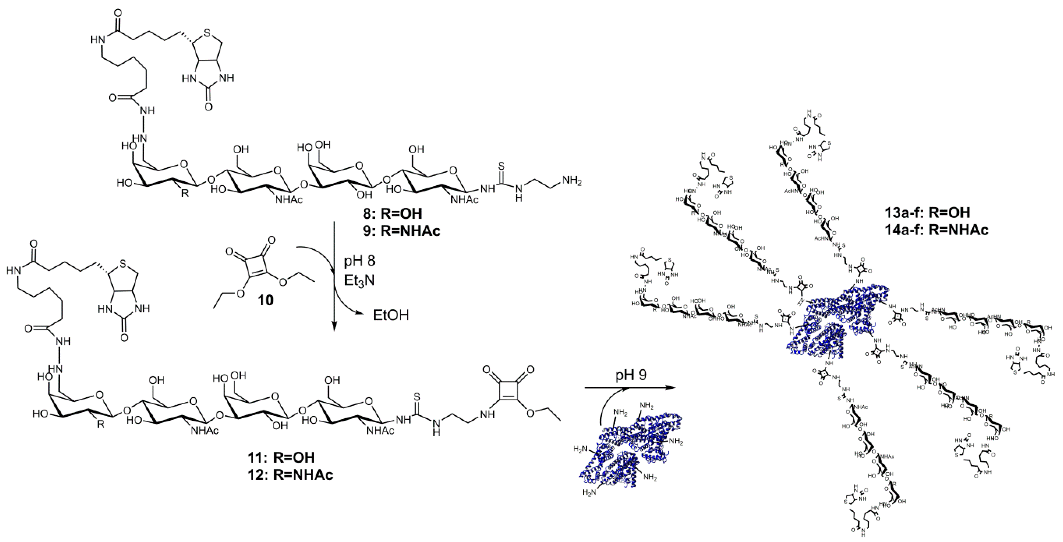 Bioengineering 04 00031 sch002