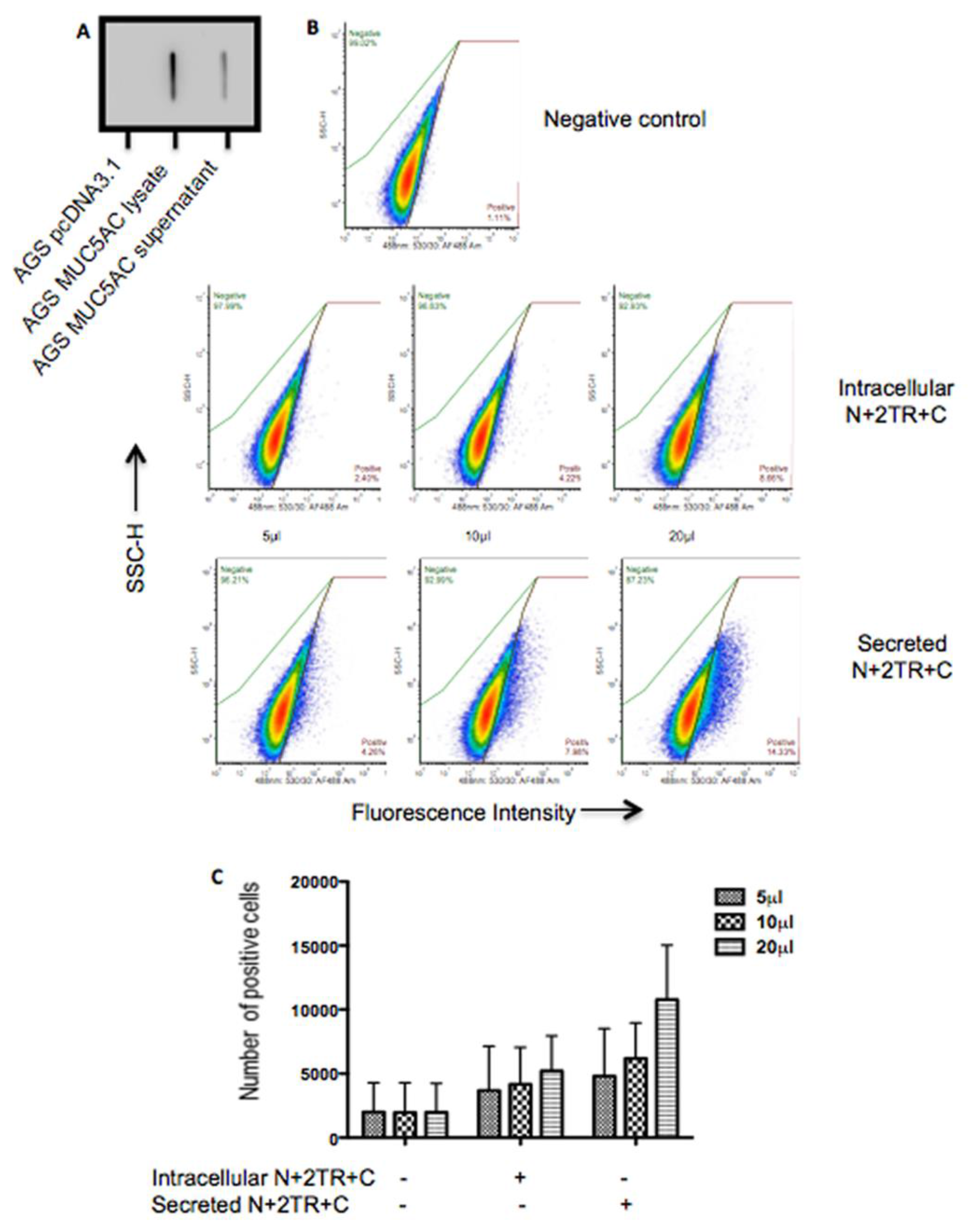 Bioengineering 04 00034 g006