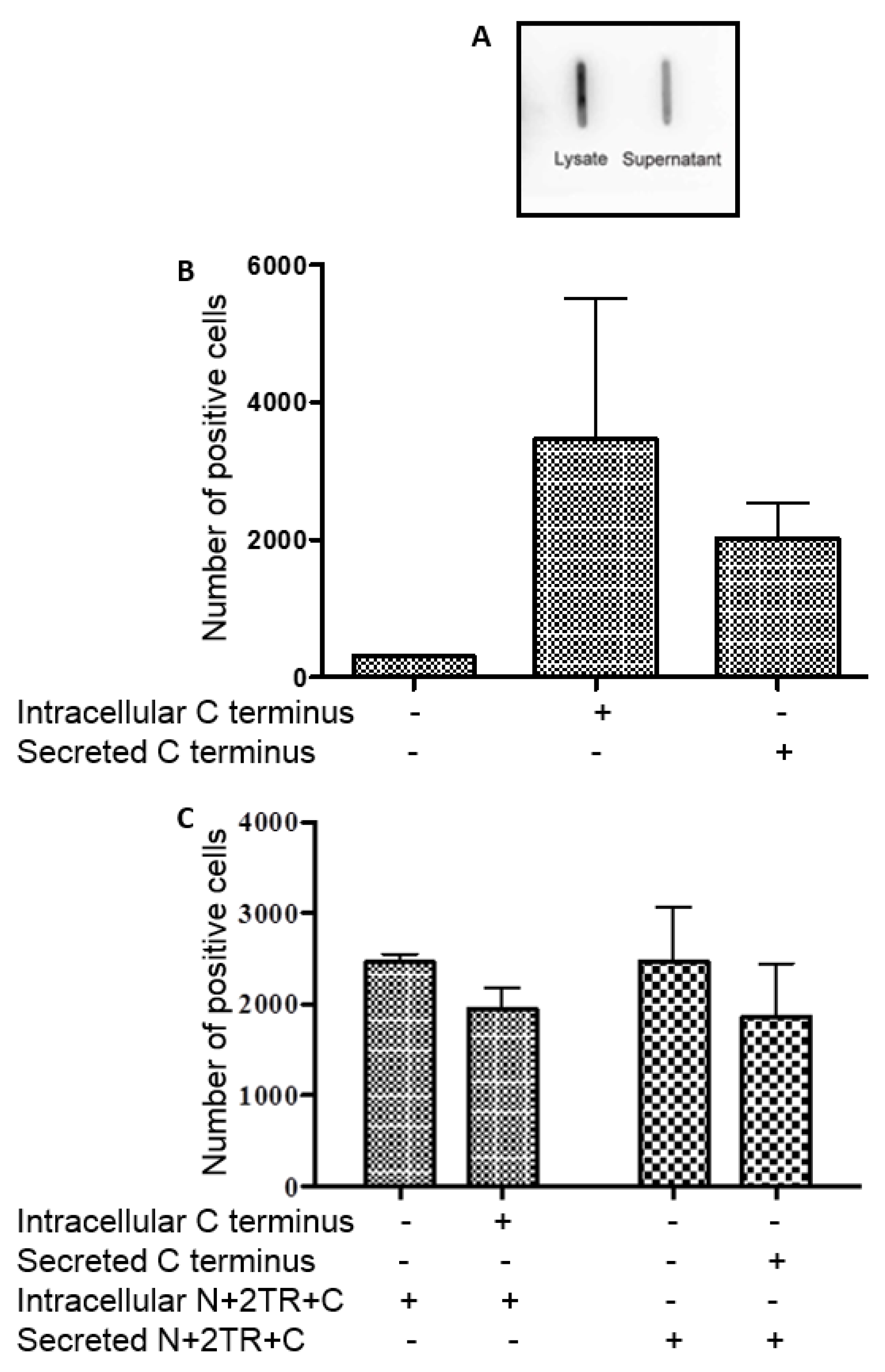 Bioengineering 04 00034 g007