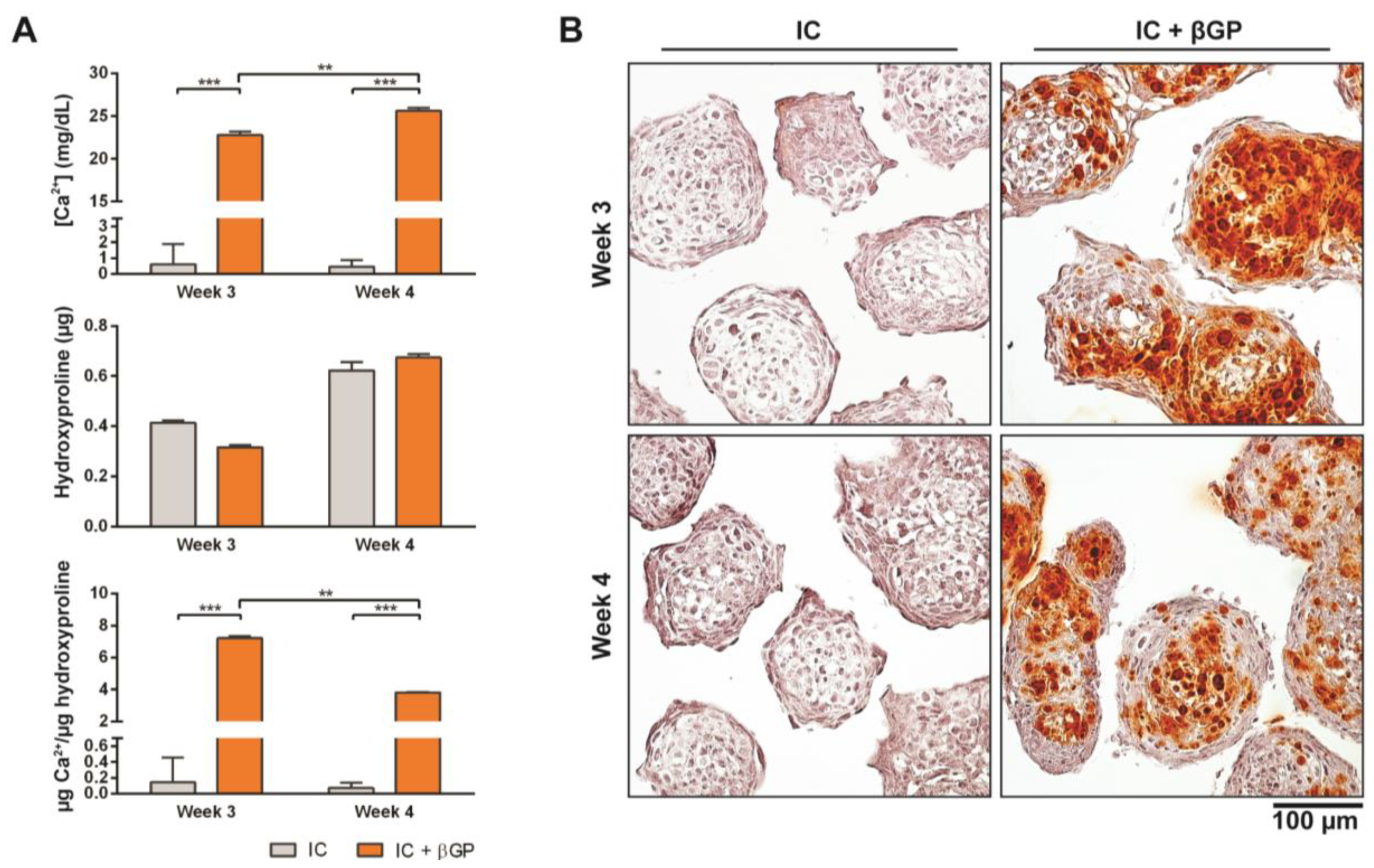 Bioengineering 04 00035 g004