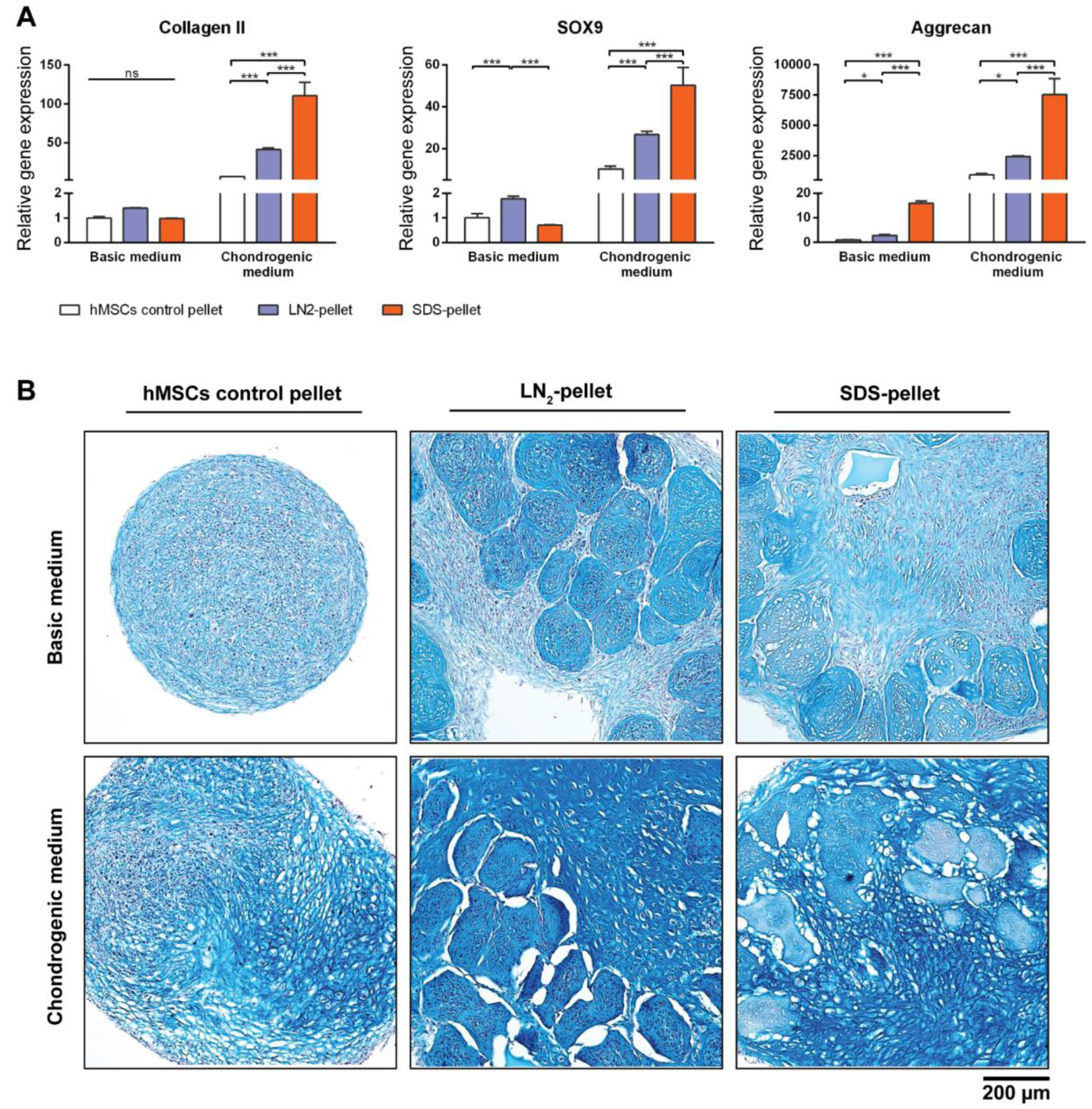 Bioengineering 04 00035 g007