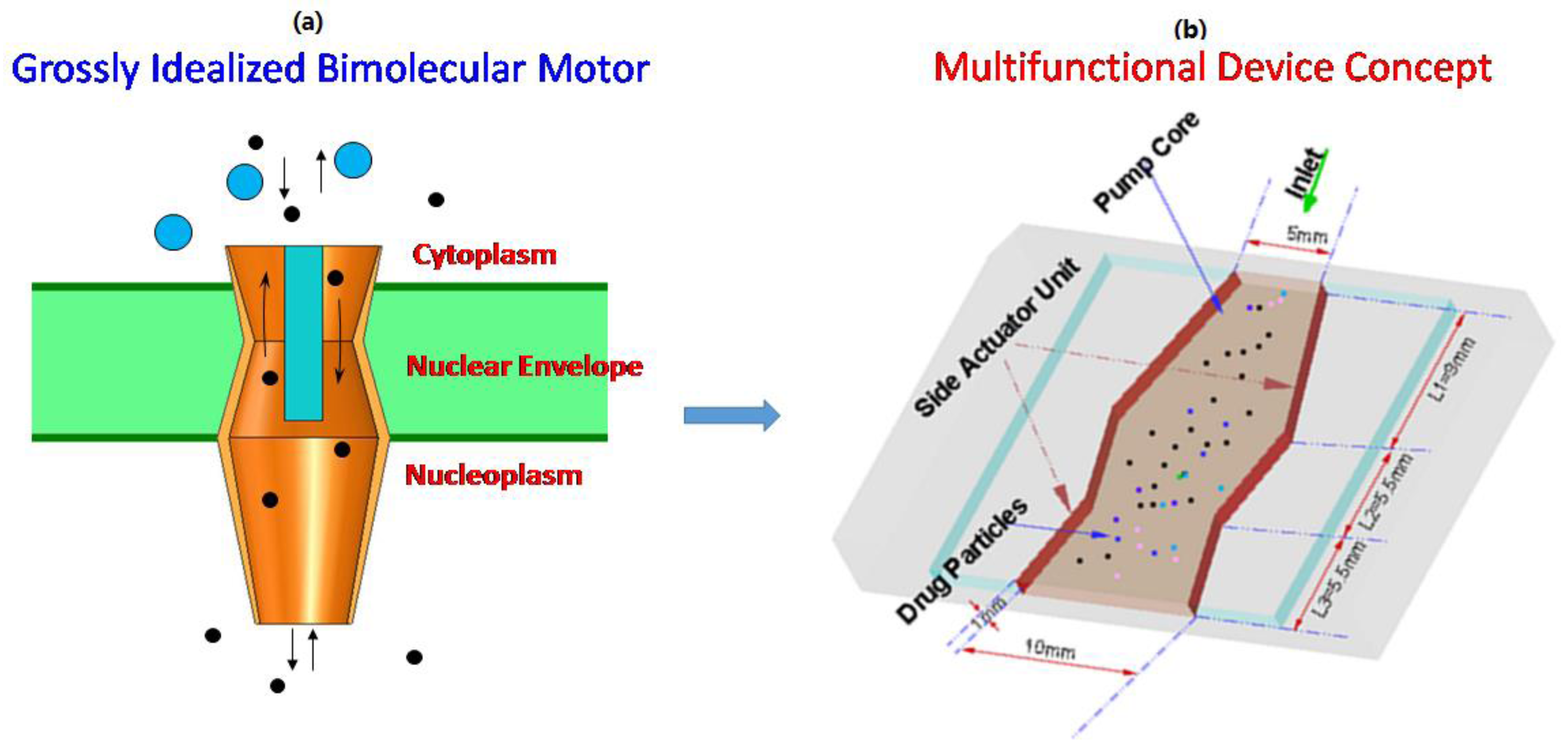 Bioengineering 04 00037 g001