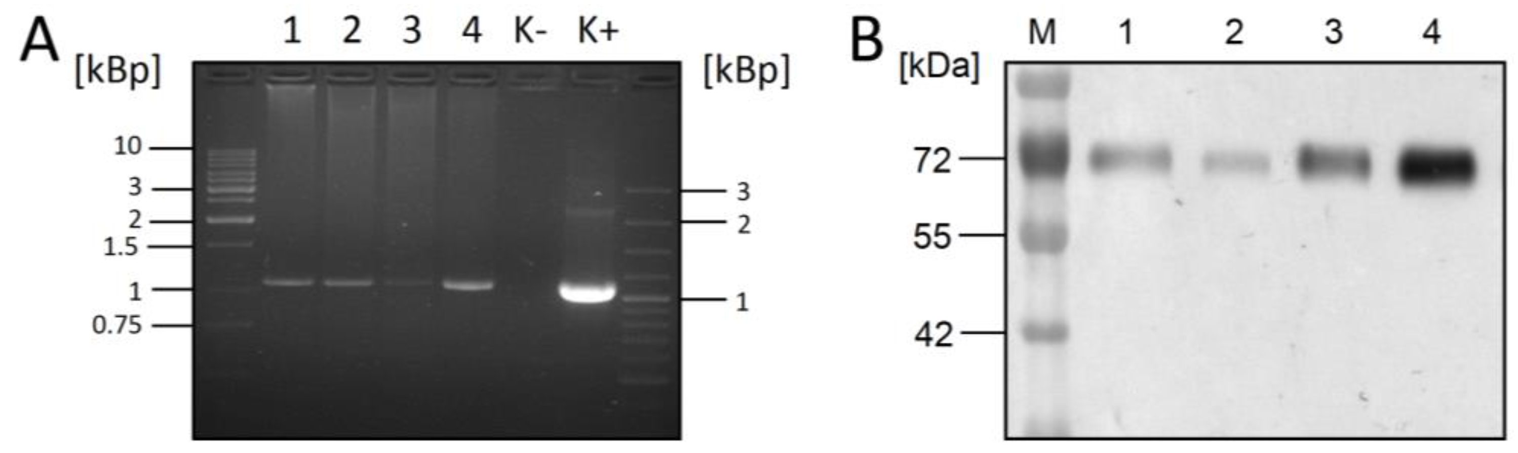 Bioengineering 04 00038 g001