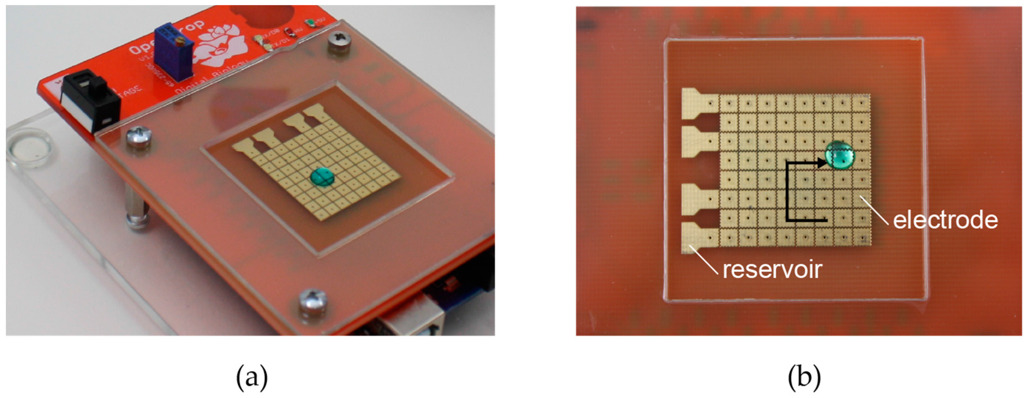 Bioengineering 04 00045 g004