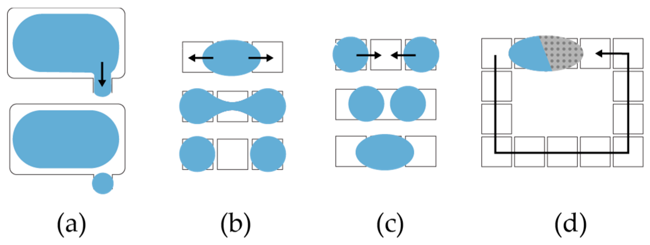 Bioengineering 04 00045 g006