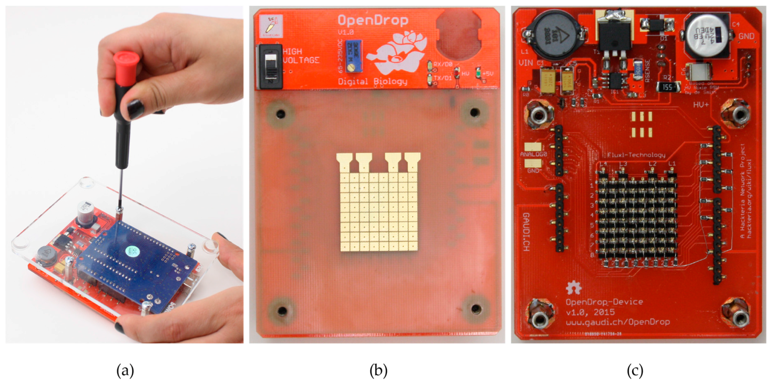 Bioengineering 04 00045 g007