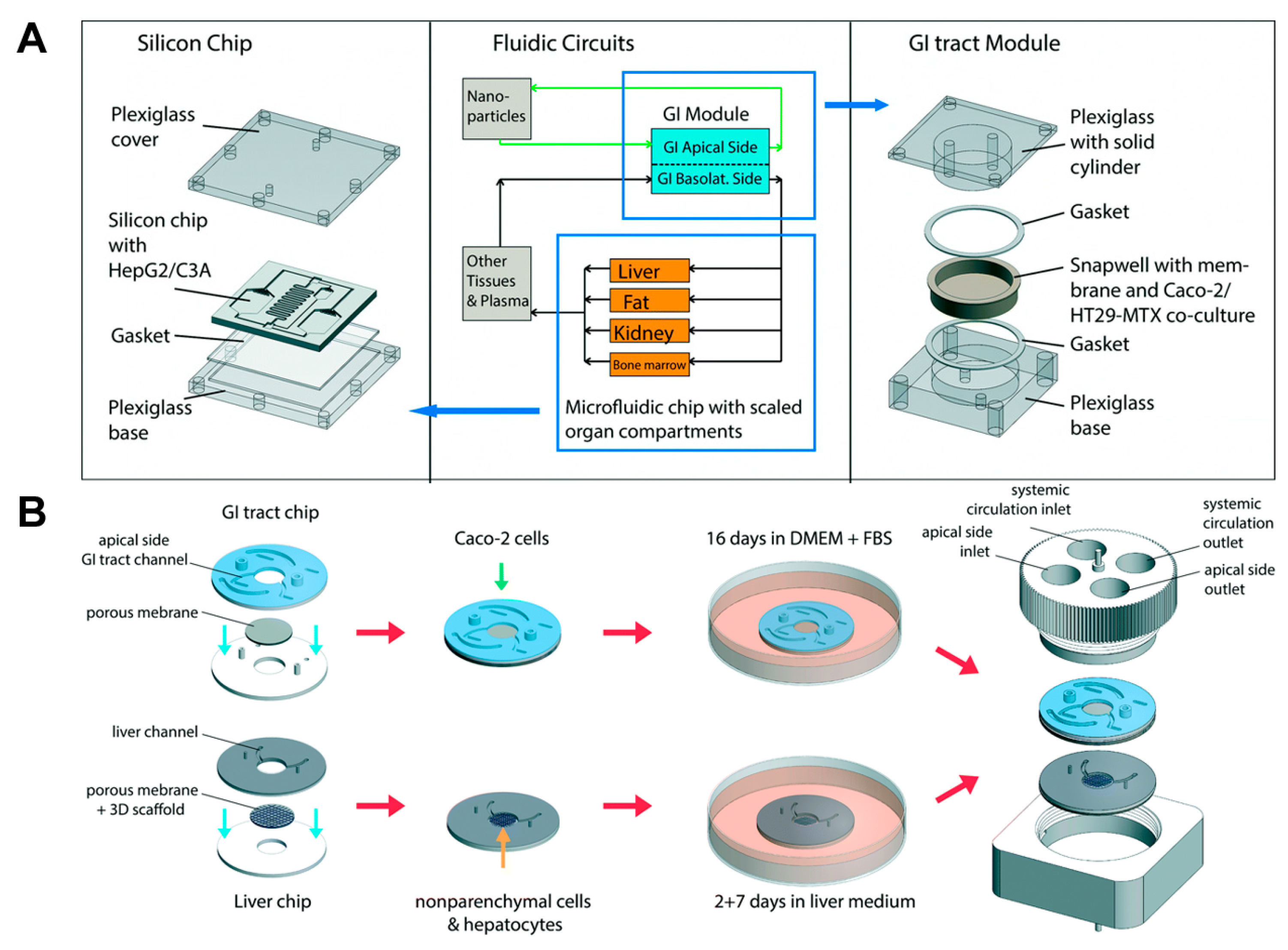 Bioengineering 04 00046 g002