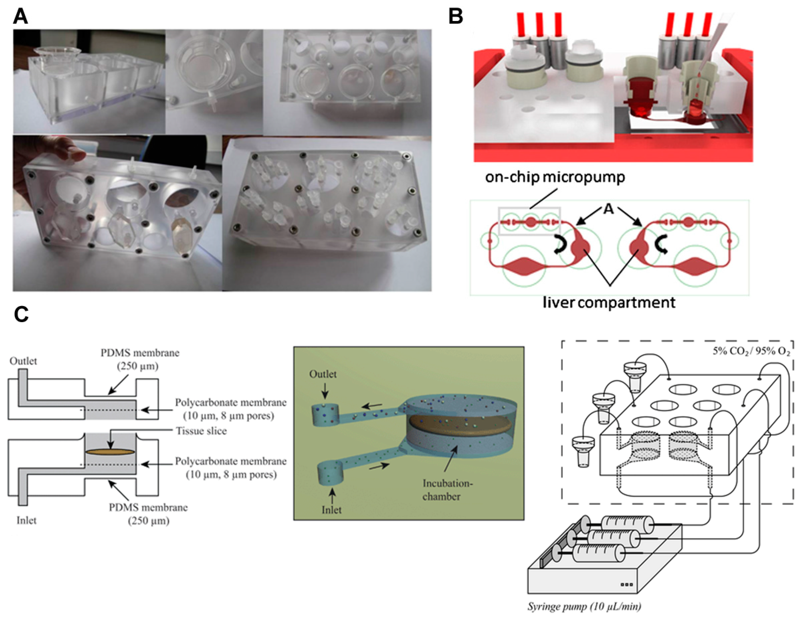 Bioengineering 04 00046 g003