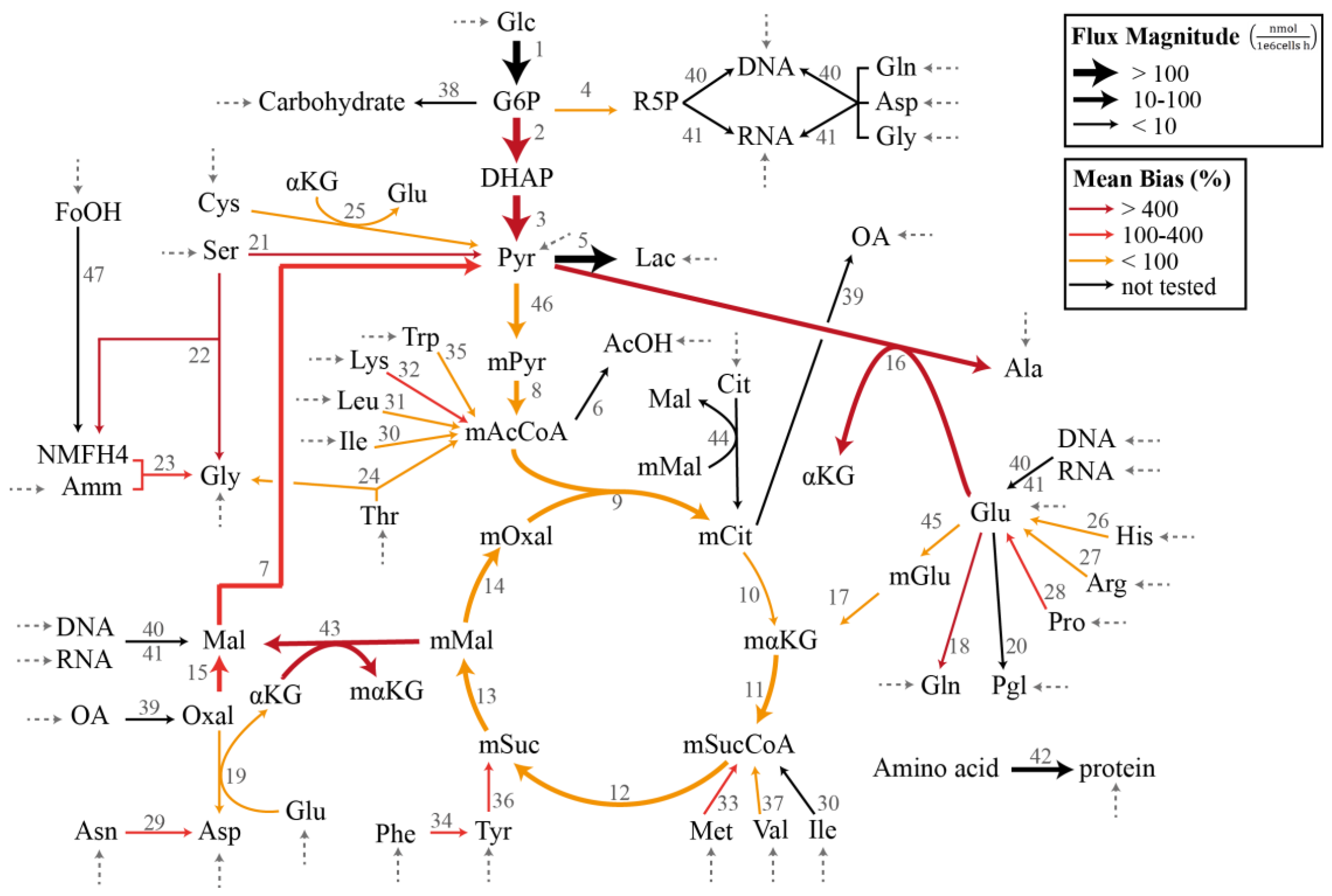 Bioengineering 04 00048 g001