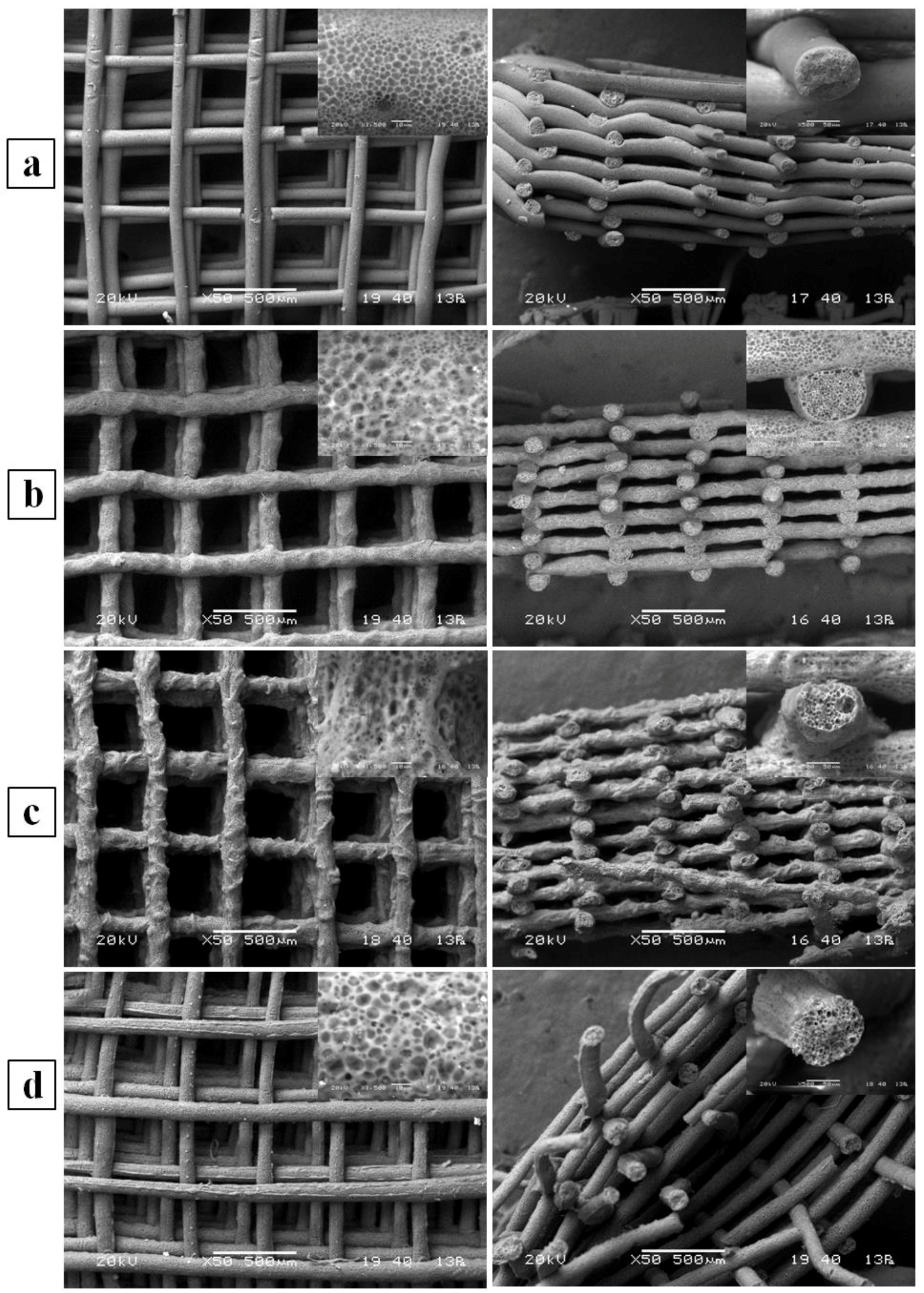 Bioengineering 04 00049 g002