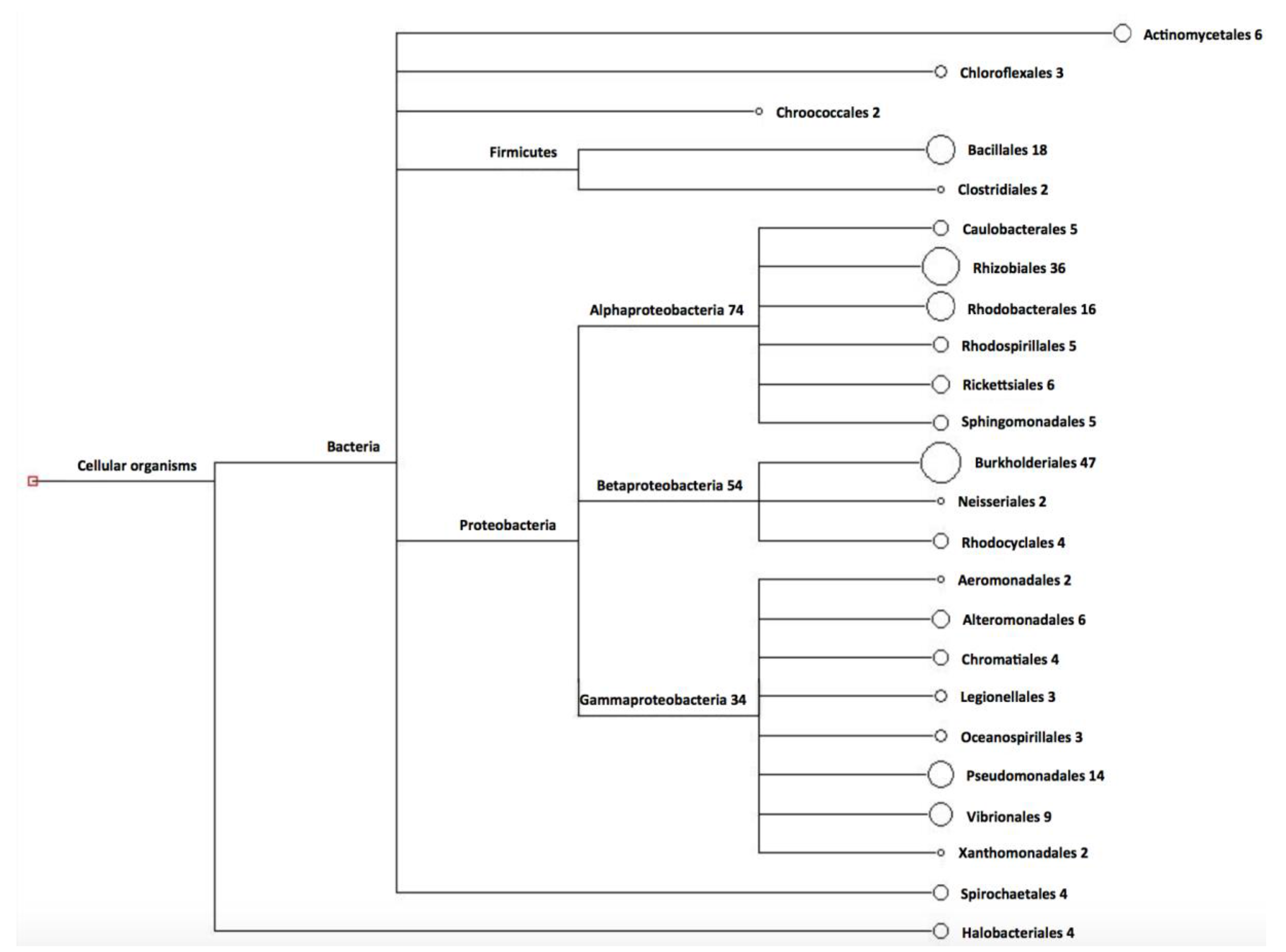 Bioengineering 04 00052 g001