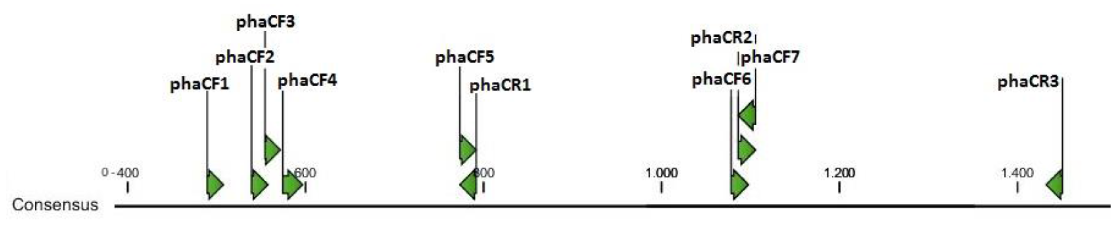 Bioengineering 04 00052 g002