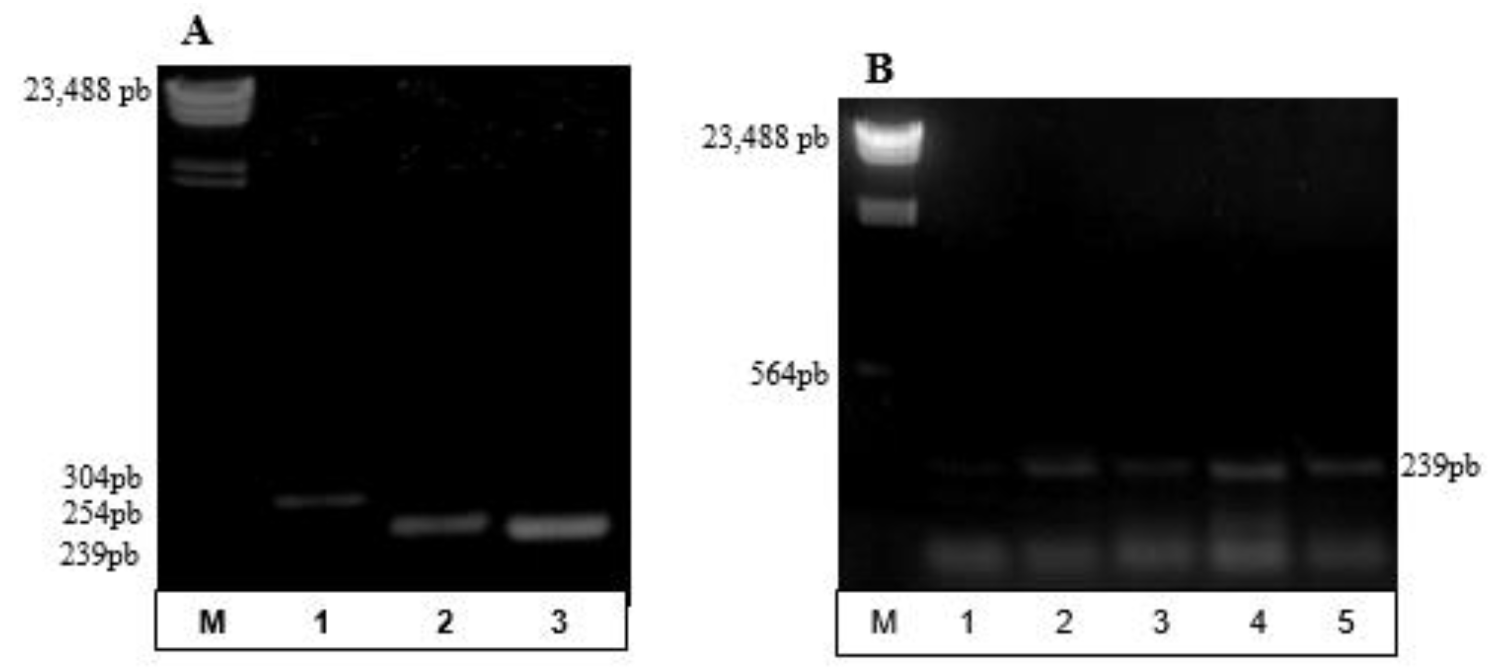 Bioengineering 04 00052 g003a