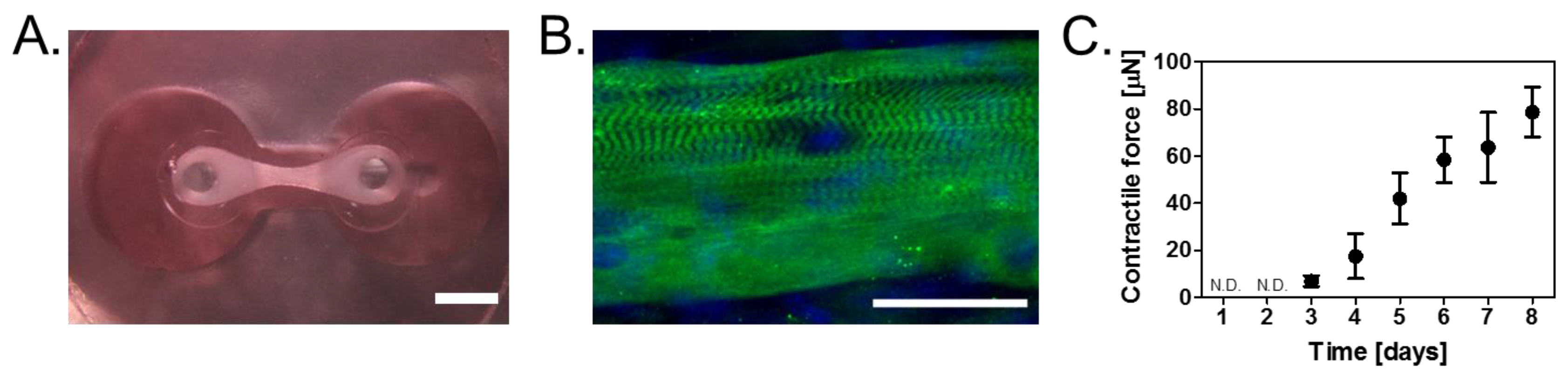 Bioengineering 04 00056 g002
