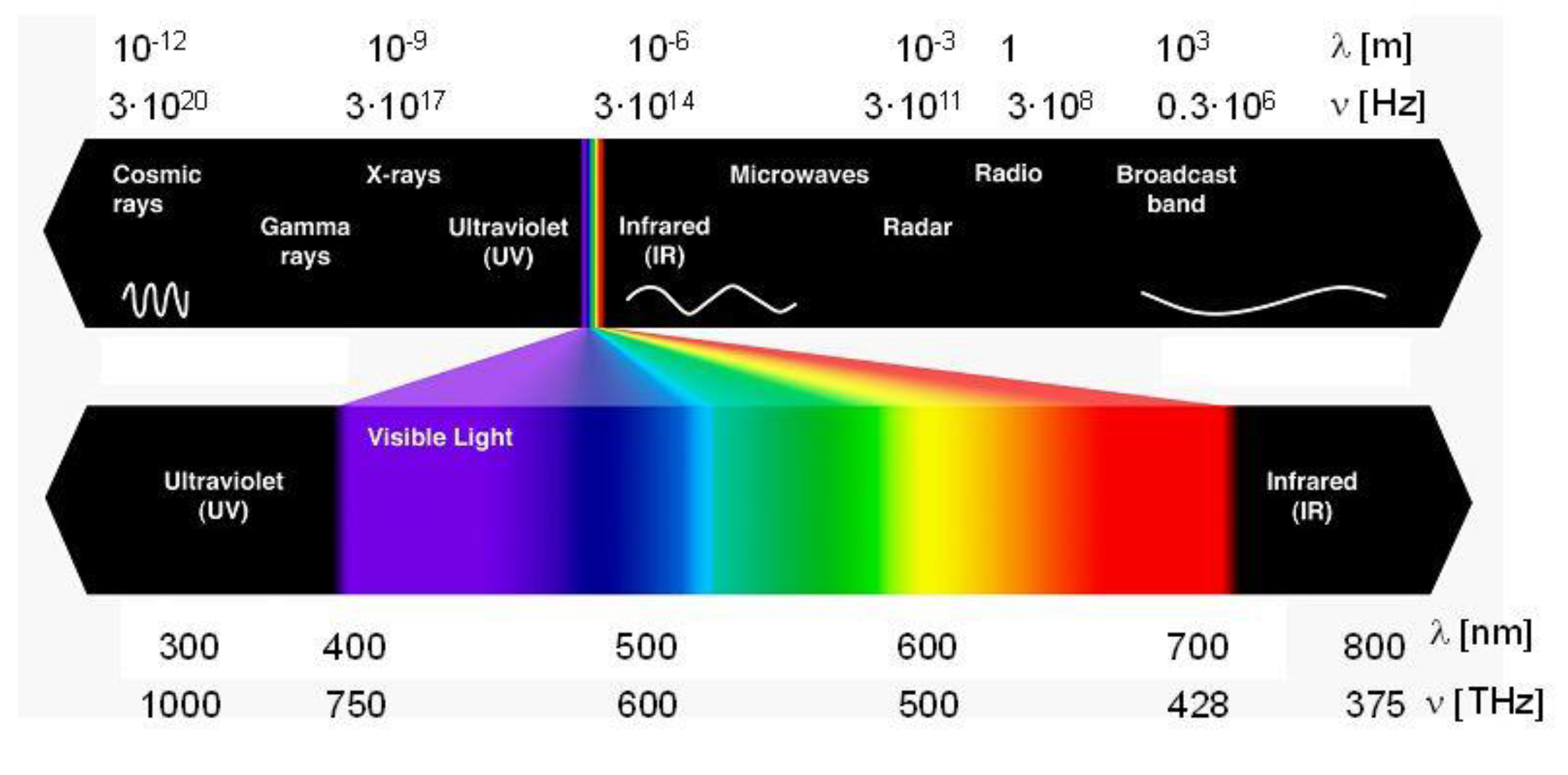 Bioengineering 04 00057 g002