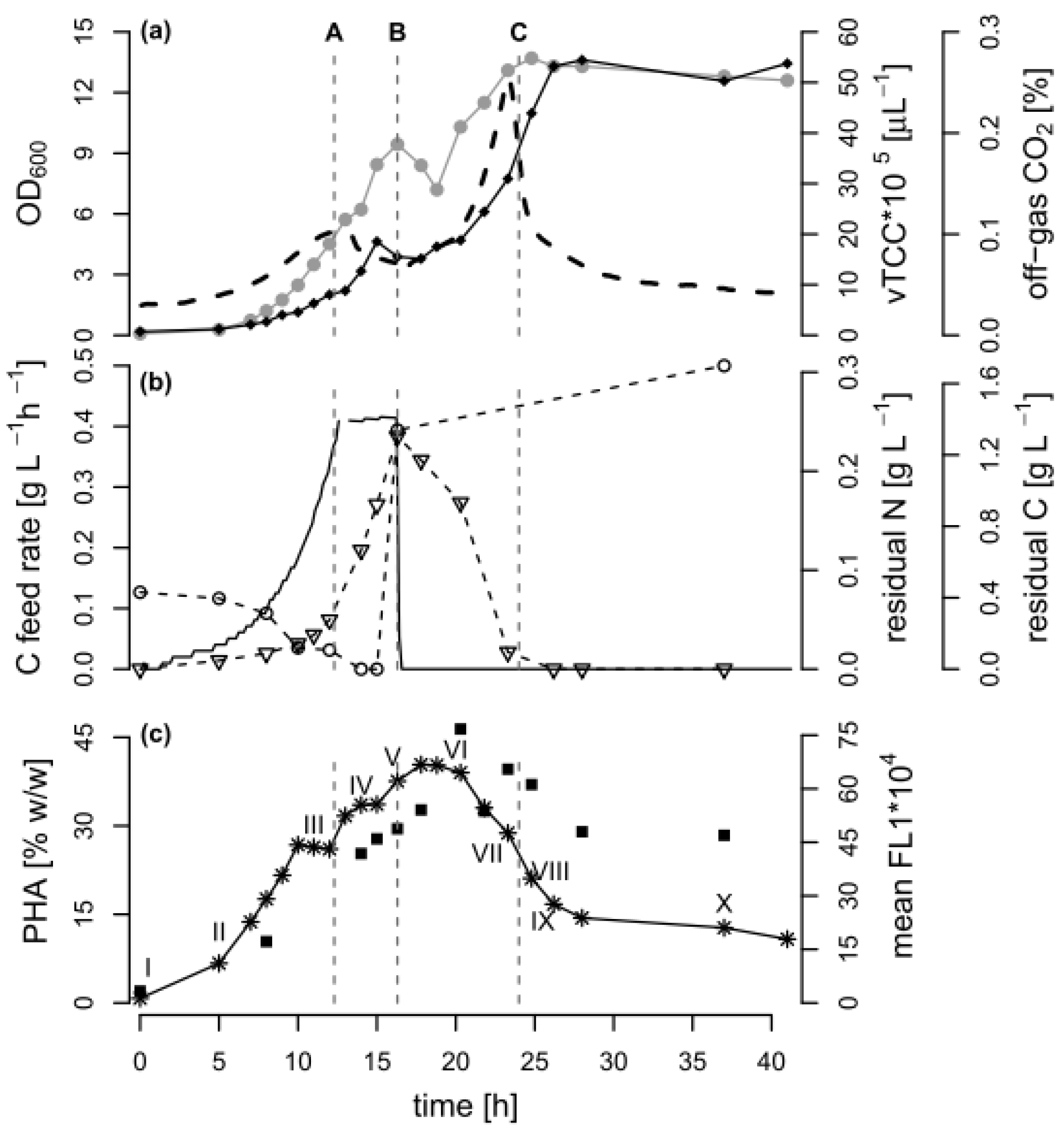 Bioengineering 04 00058 g001
