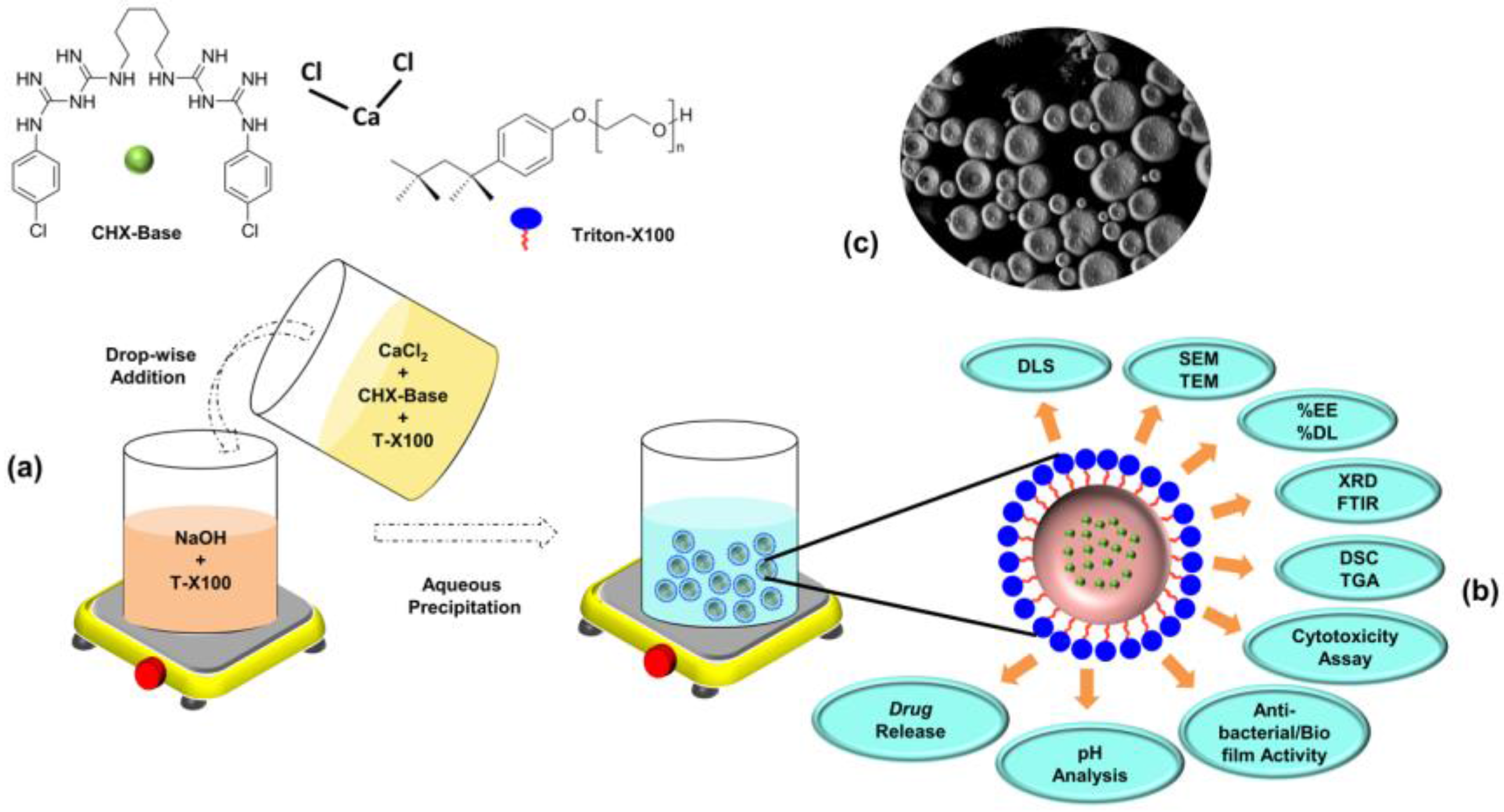 Bioengineering 04 00059 g001