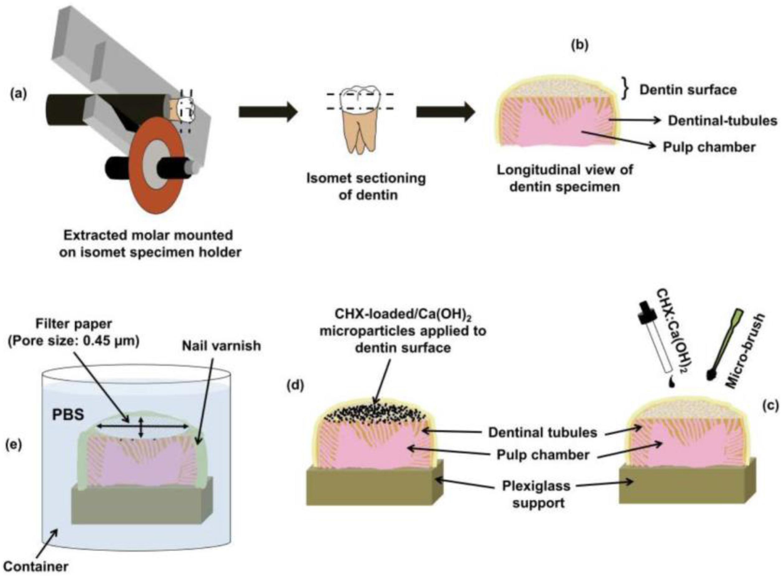 Bioengineering 04 00059 g002