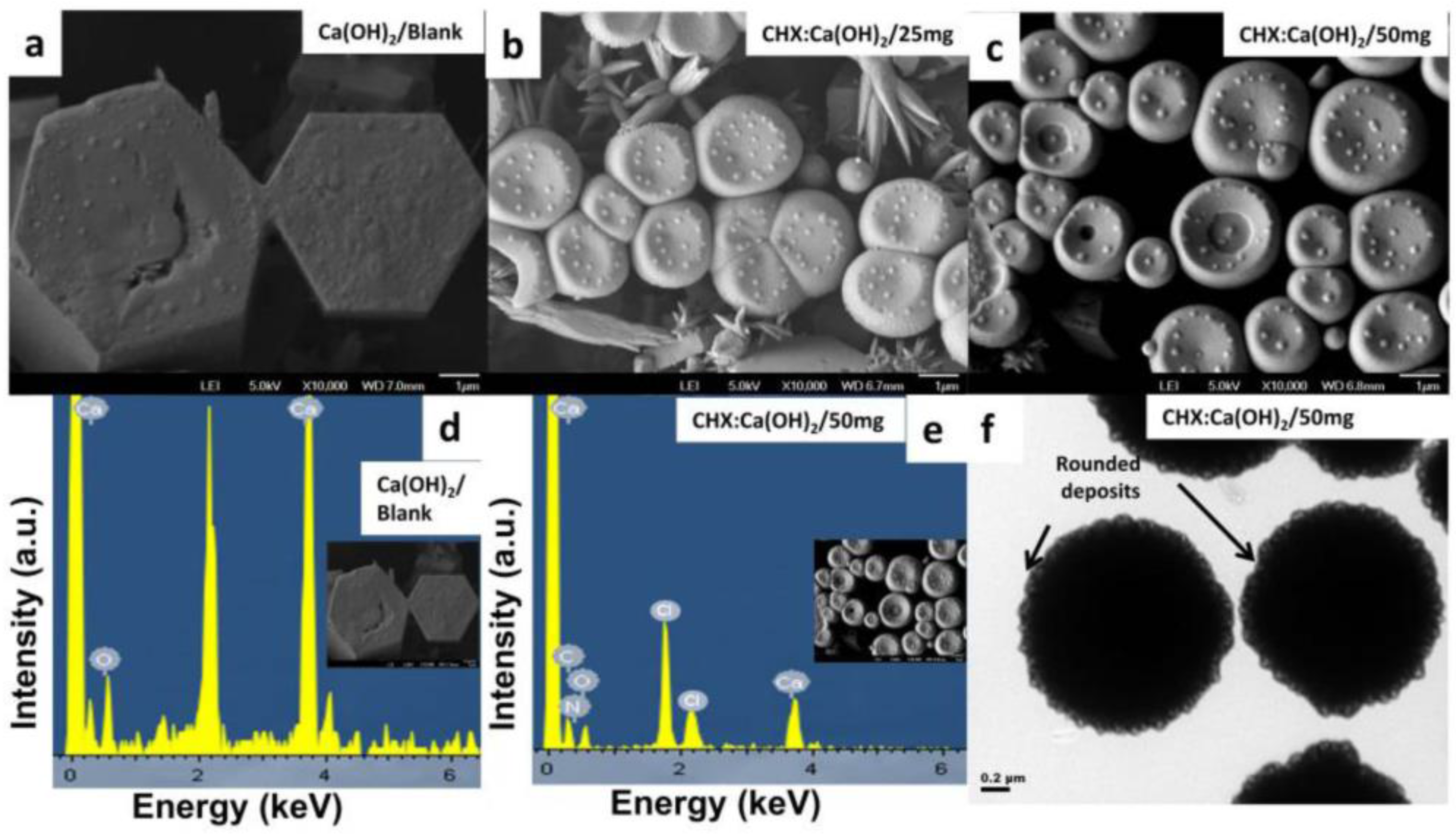Bioengineering 04 00059 g003