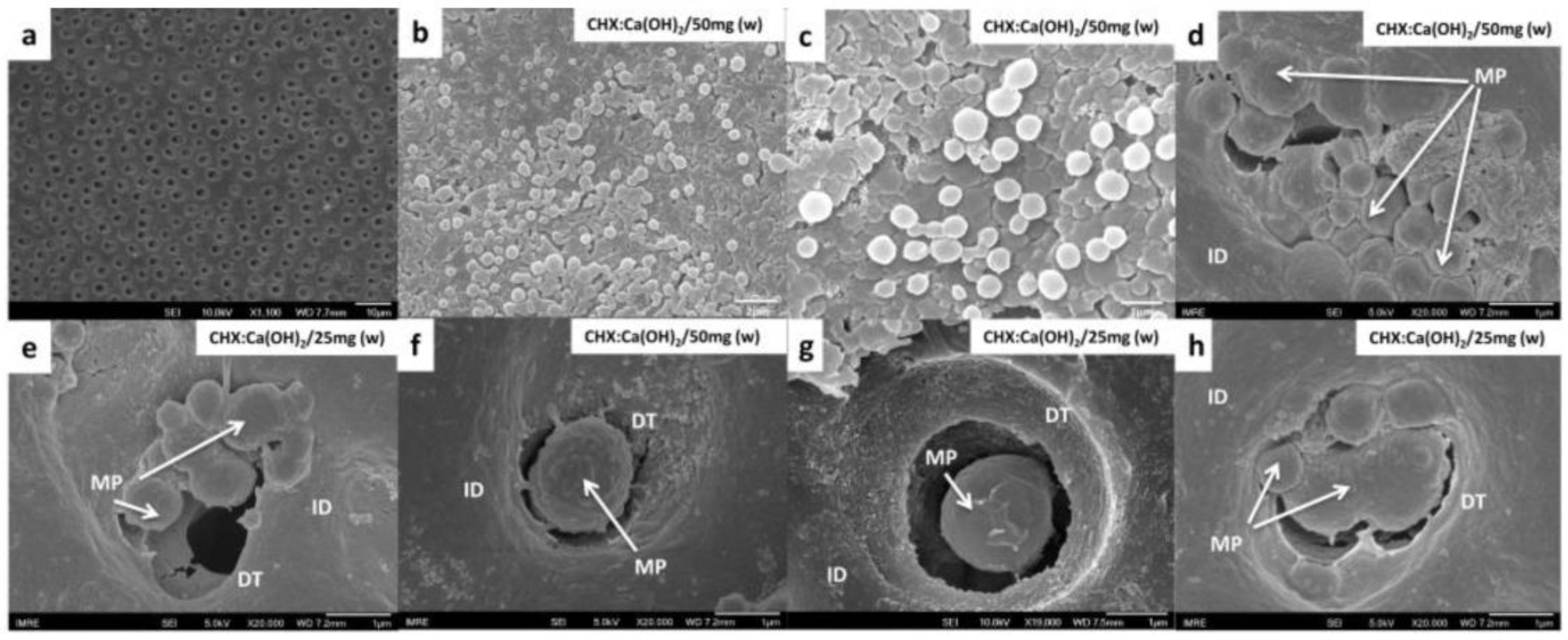 Bioengineering 04 00059 g007