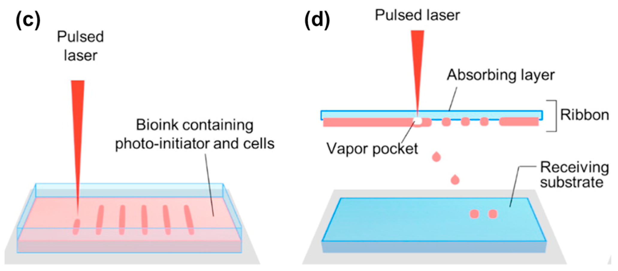 Bioengineering 04 00071 g001b