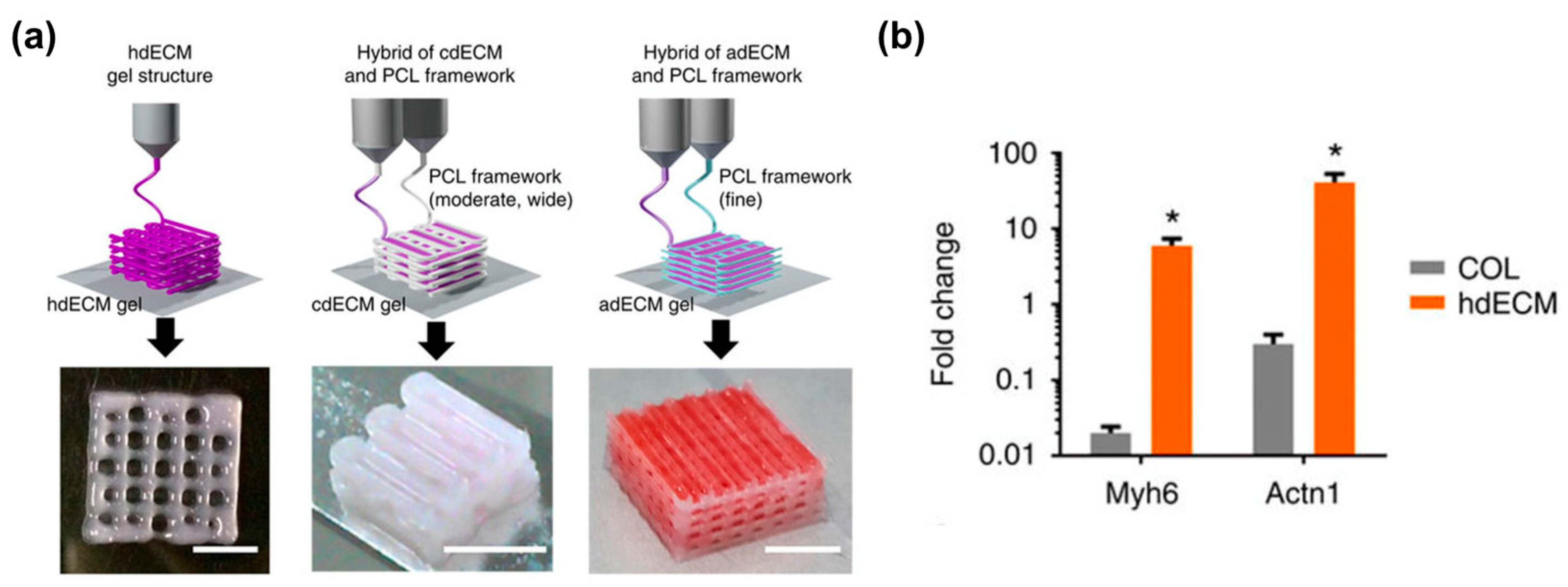 Bioengineering 04 00071 g003a