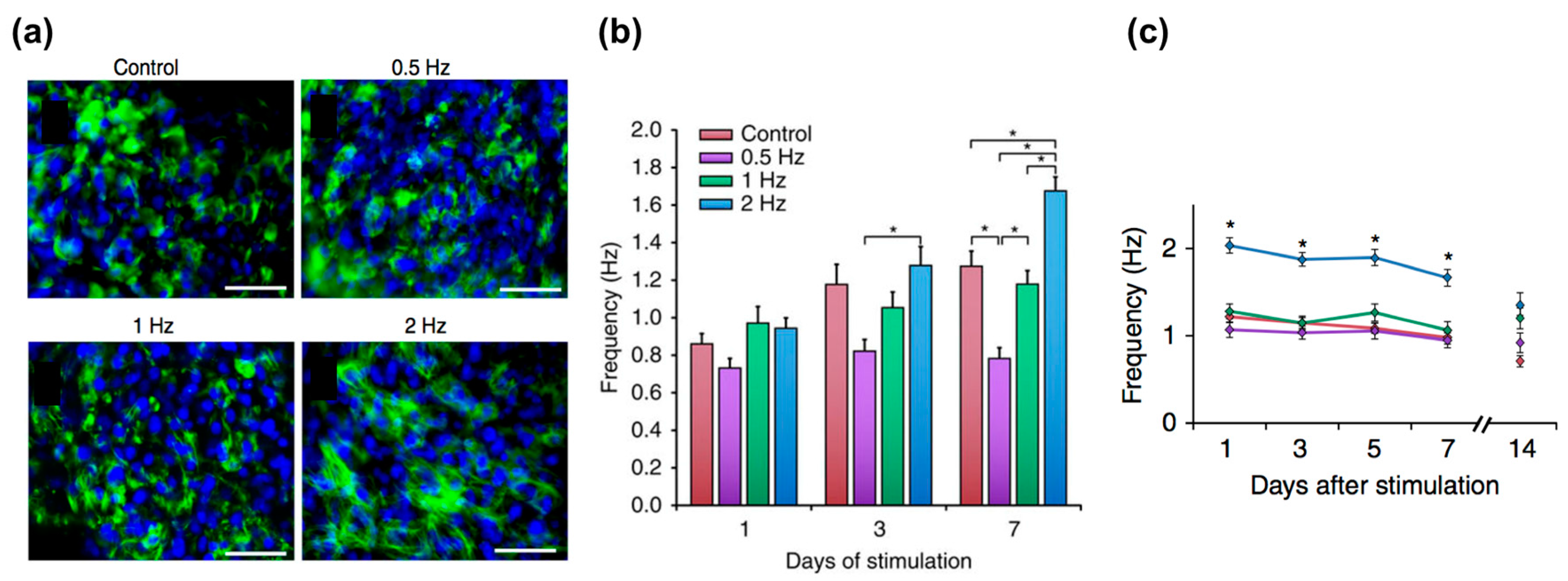 Bioengineering 04 00071 g004