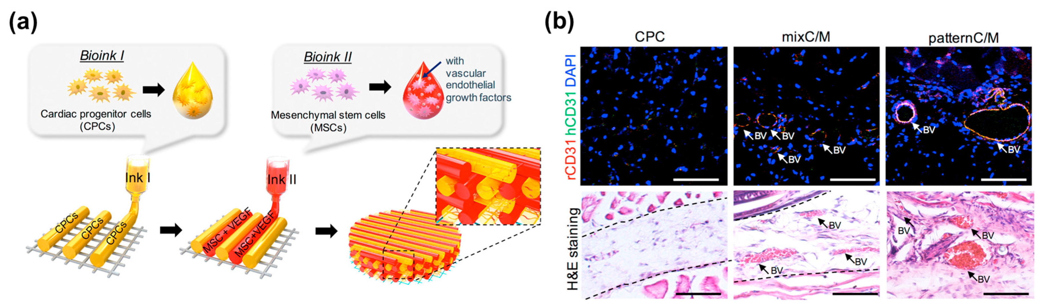Bioengineering 04 00071 g008