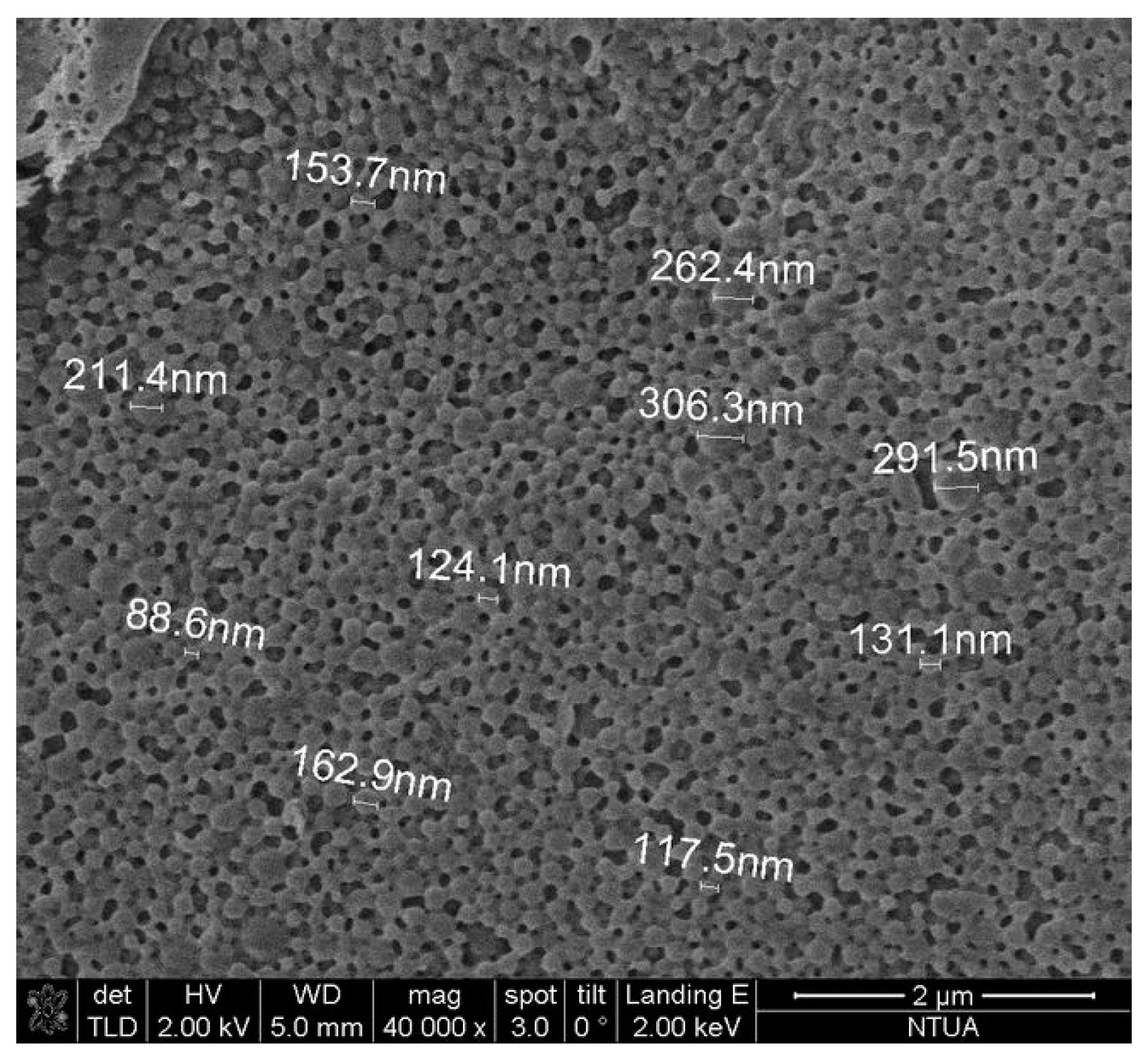 Bioengineering 04 00075 g004