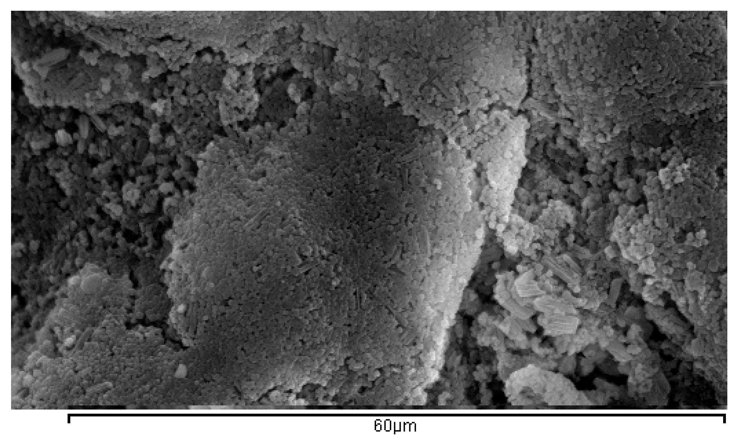 Bioengineering 04 00081 g001