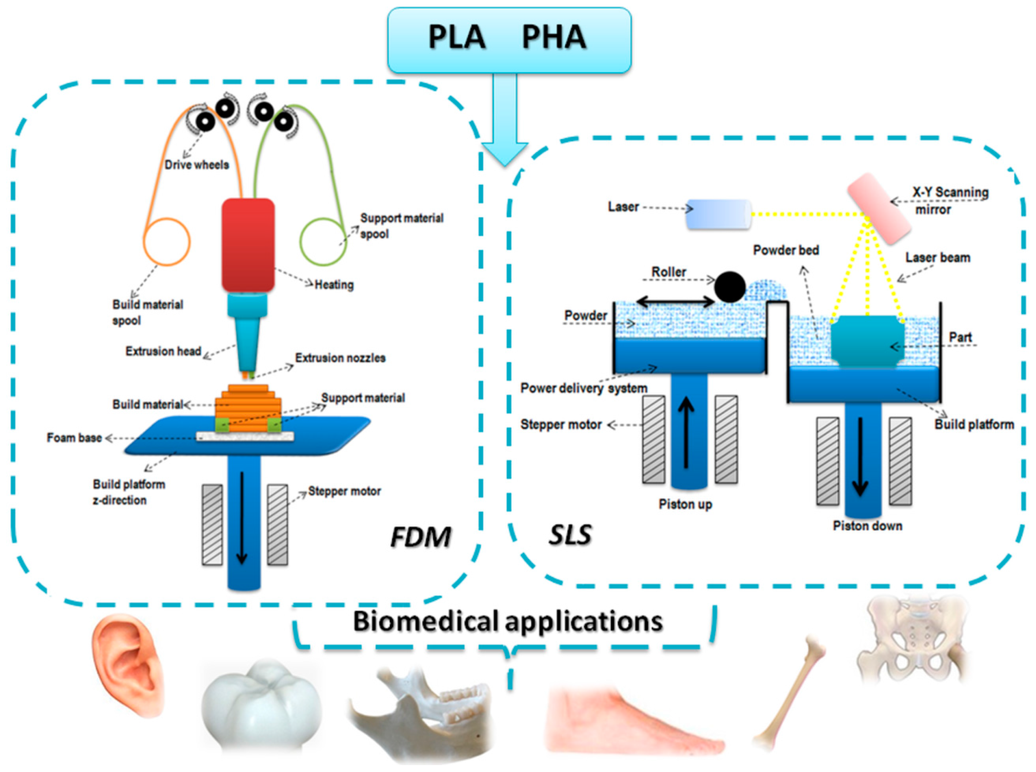 Bioengineering 05 00002 g001 Bioengineering 05 00002 g001