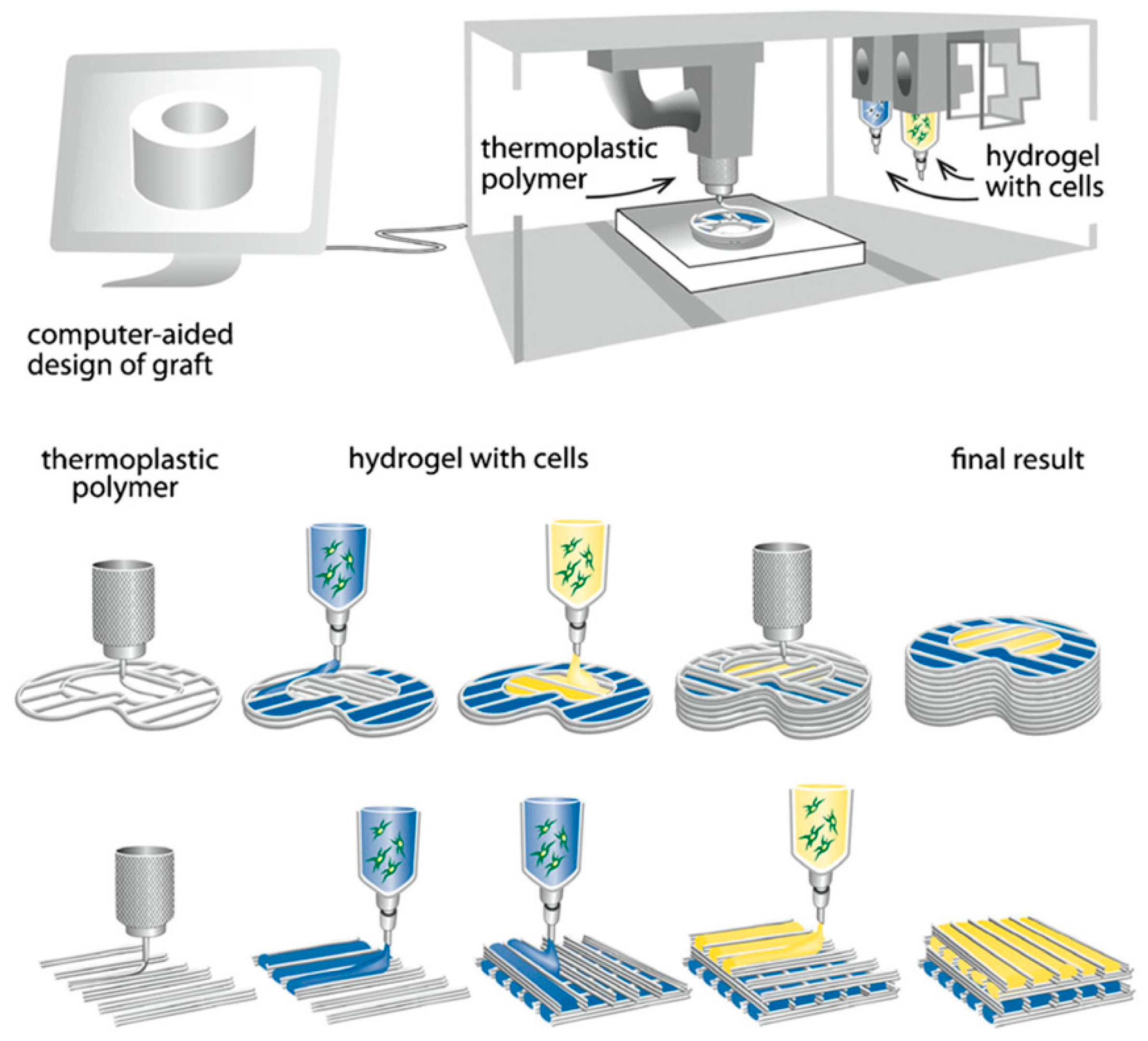 Bioengineering 05 00002 g002 Bioengineering 05 00002 g002