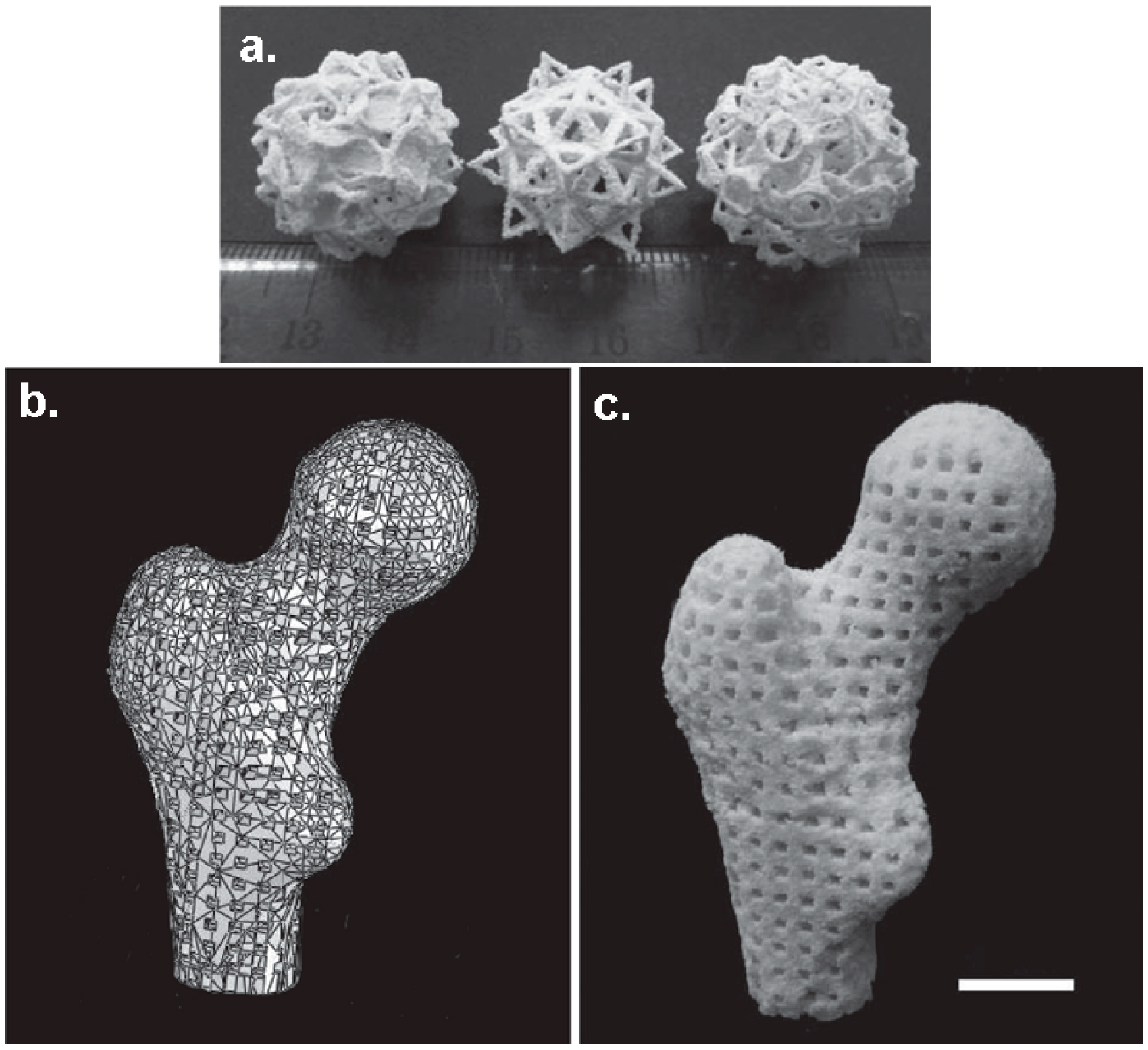 Bioengineering 05 00002 g007 Bioengineering 05 00002 g007