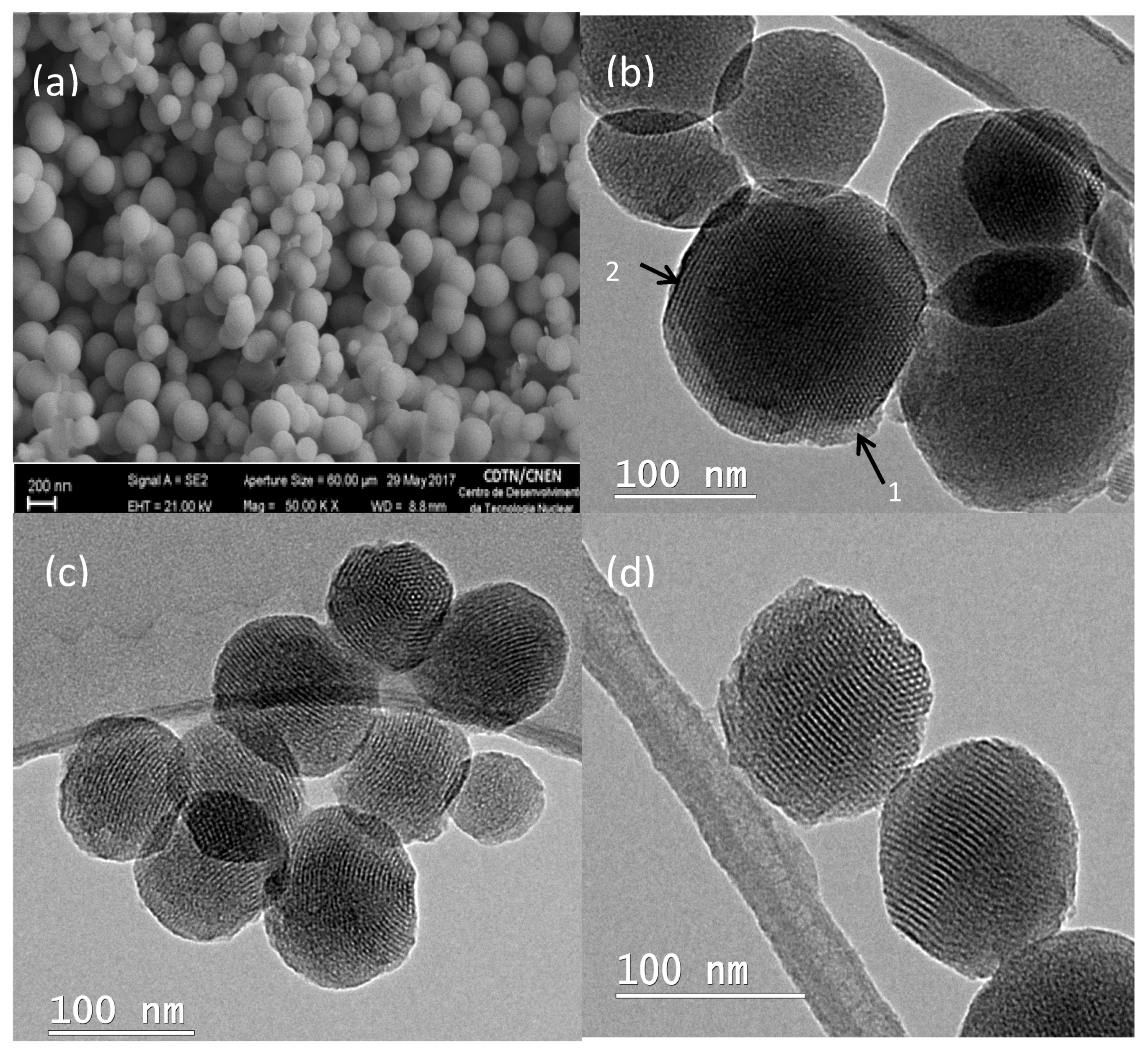 Bioengineering 05 00004 g001