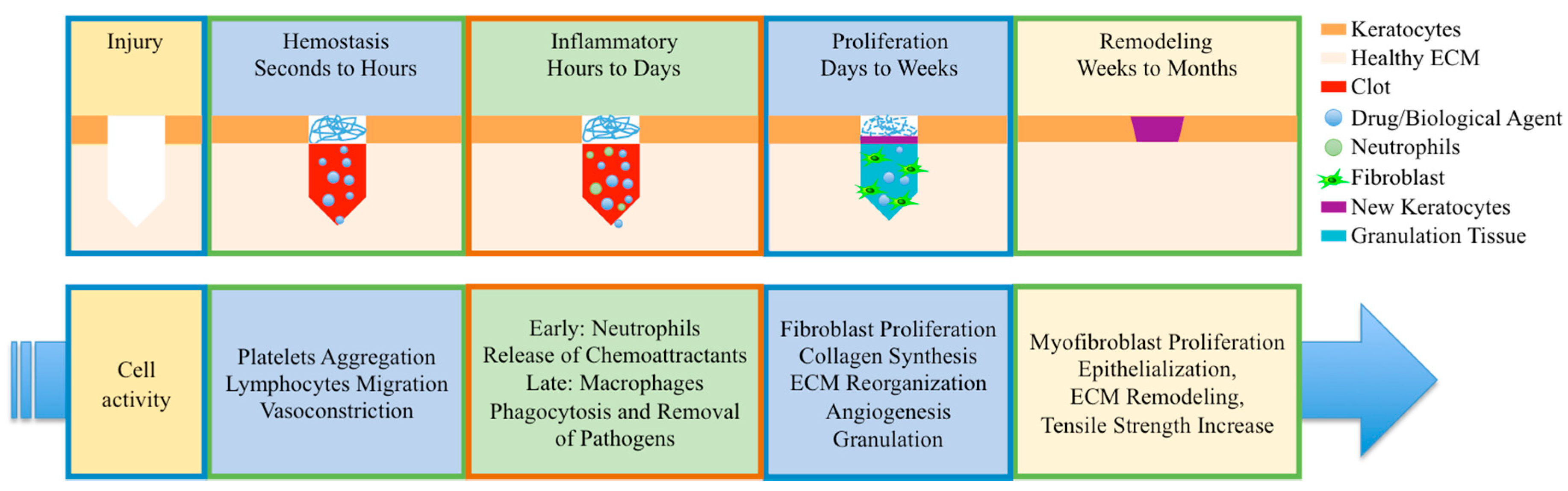 Bioengineering 05 00009 g001