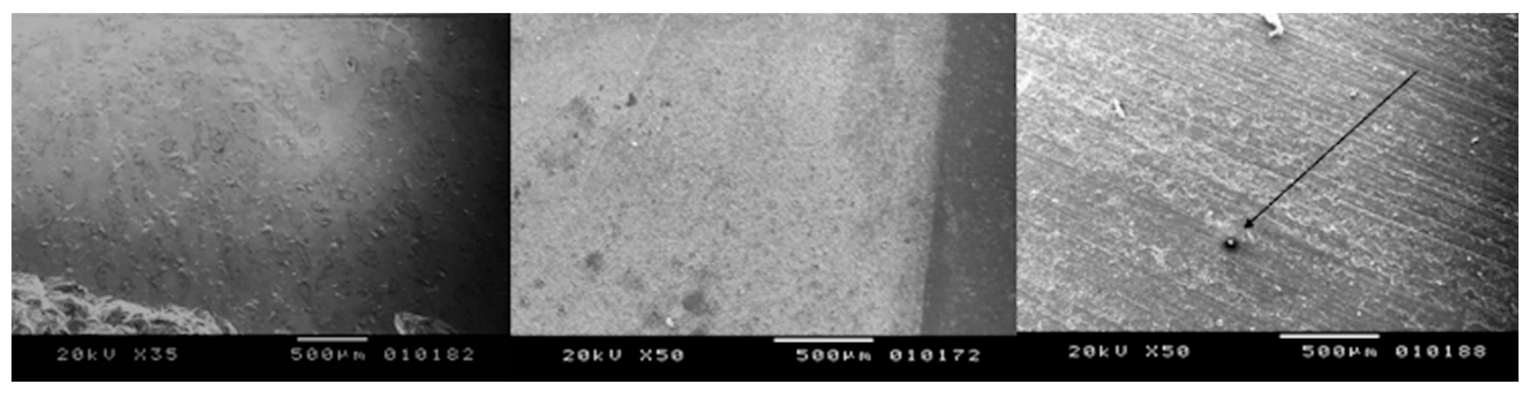 Bioengineering 05 00010 g002