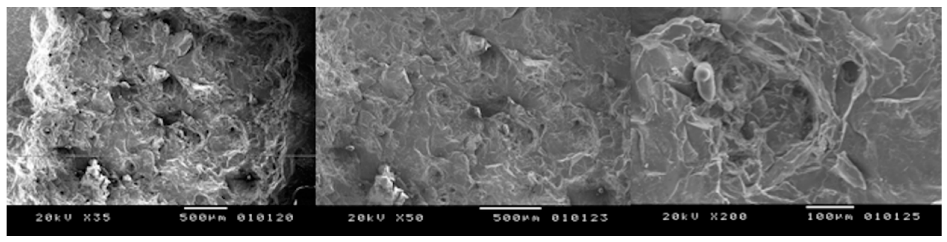 Bioengineering 05 00010 g003