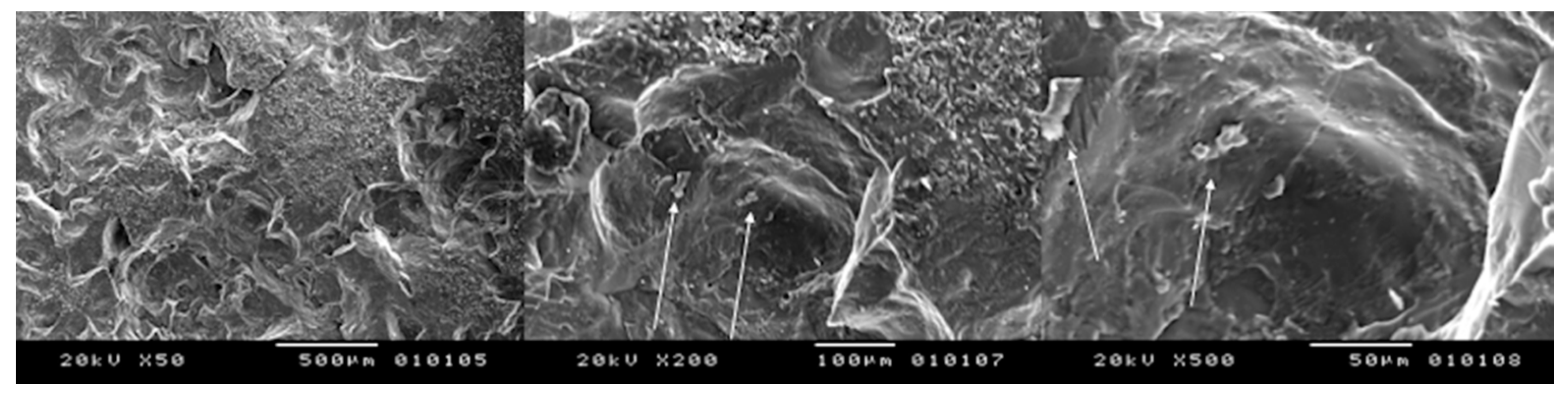 Bioengineering 05 00010 g005