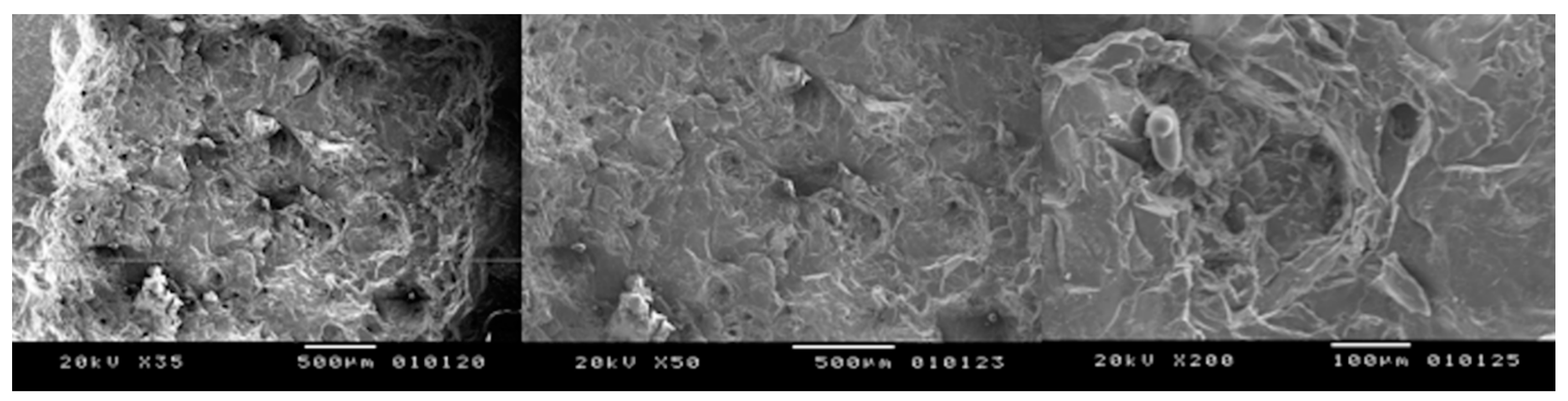 Bioengineering 05 00010 g006