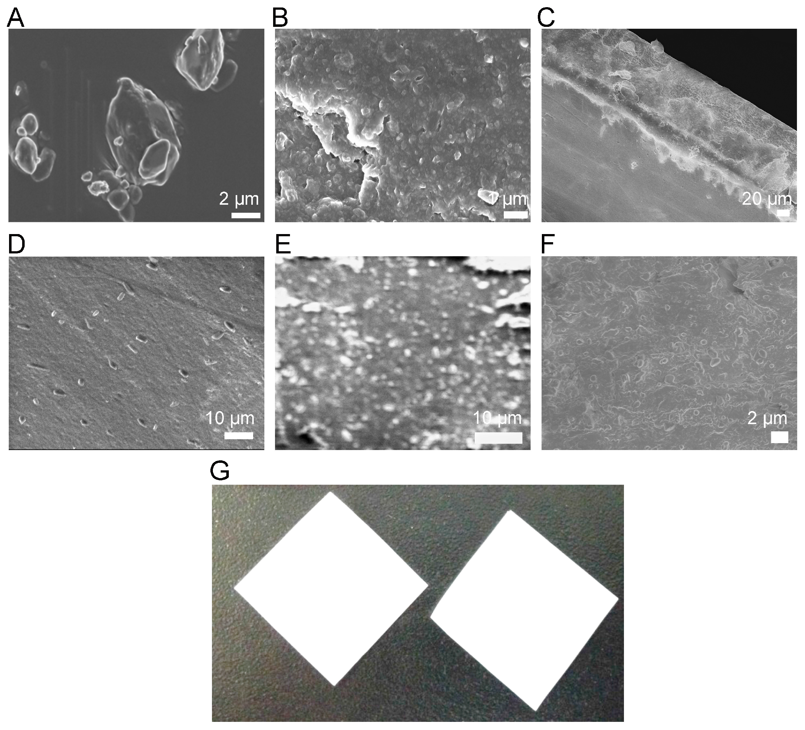 Bioengineering 05 00016 g005